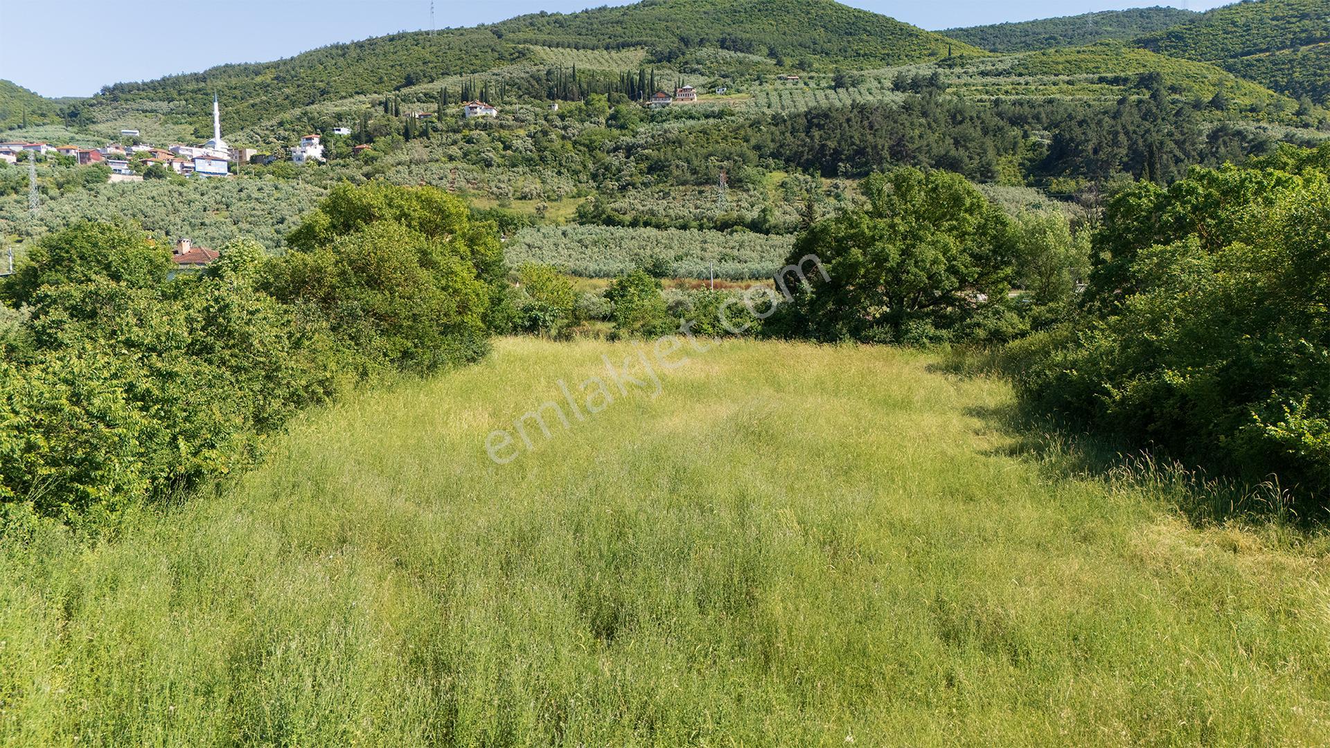 C21 Cius; Gençali'de Resmi Yola Yakın 3192 M2 Satılık Tarla - Görsel 7