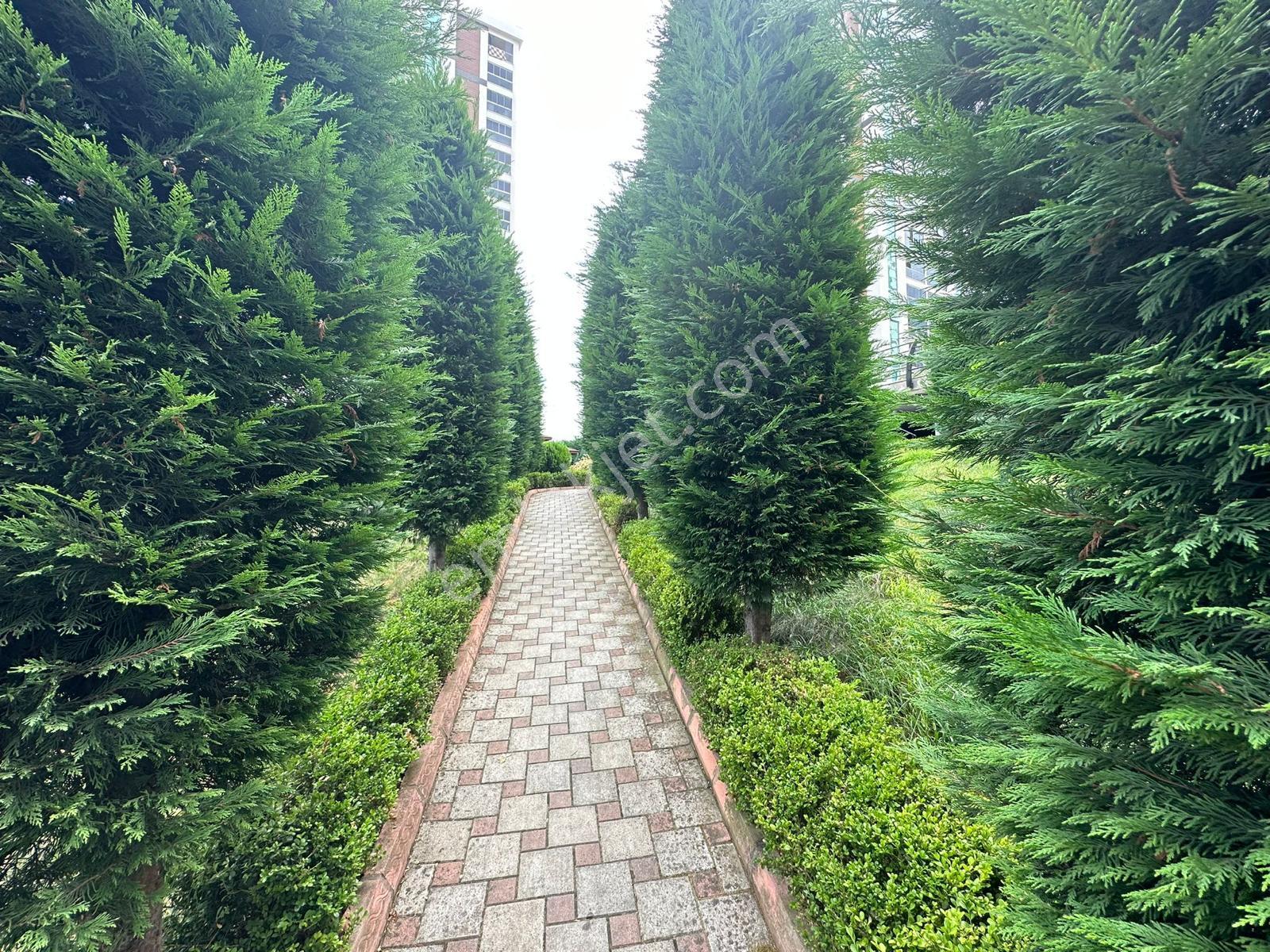 Deha Emlak'tan Kiralık 1+1. Daire Söğütlü Mahallesi Ak Towers - Görsel 9