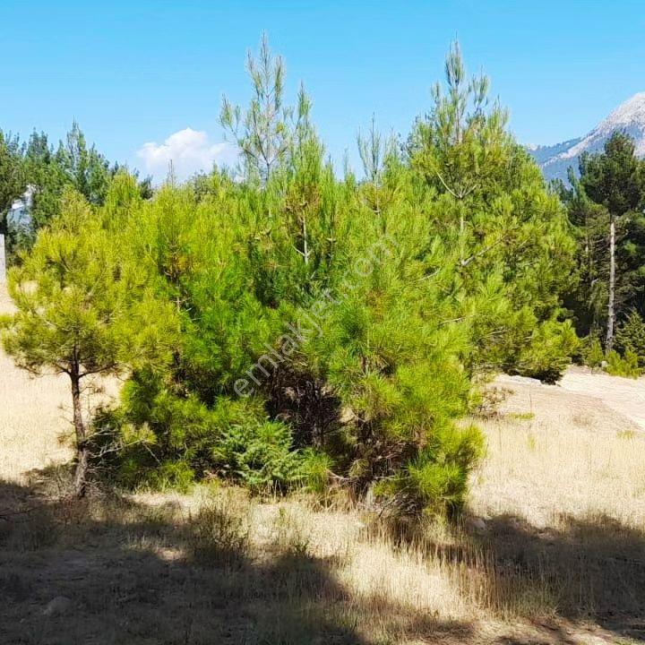 Kar Emlaktan Yenikonacık Körmenlik Mevkiinde 445m2 Satılık Arsa - Görsel 4