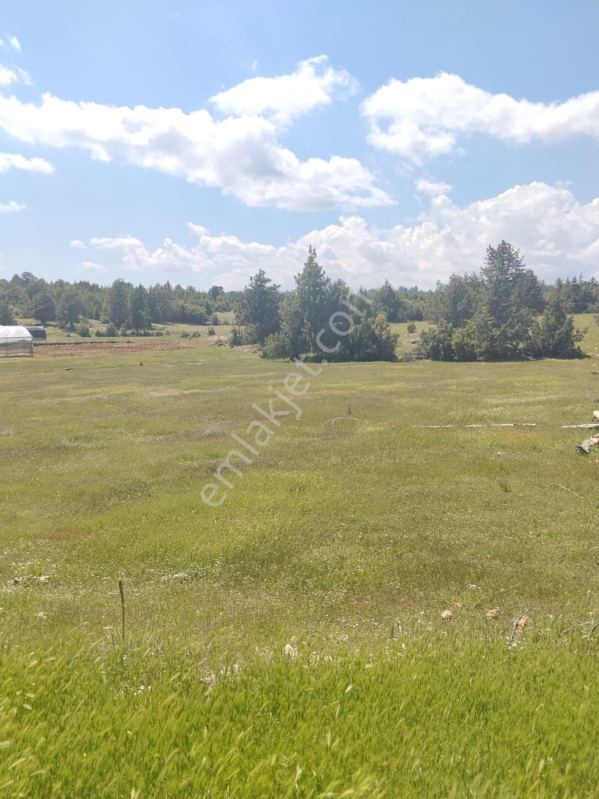 Erdemli Sarıkaya 1239 M2 Satılık Villalık Arsa - Görsel 26