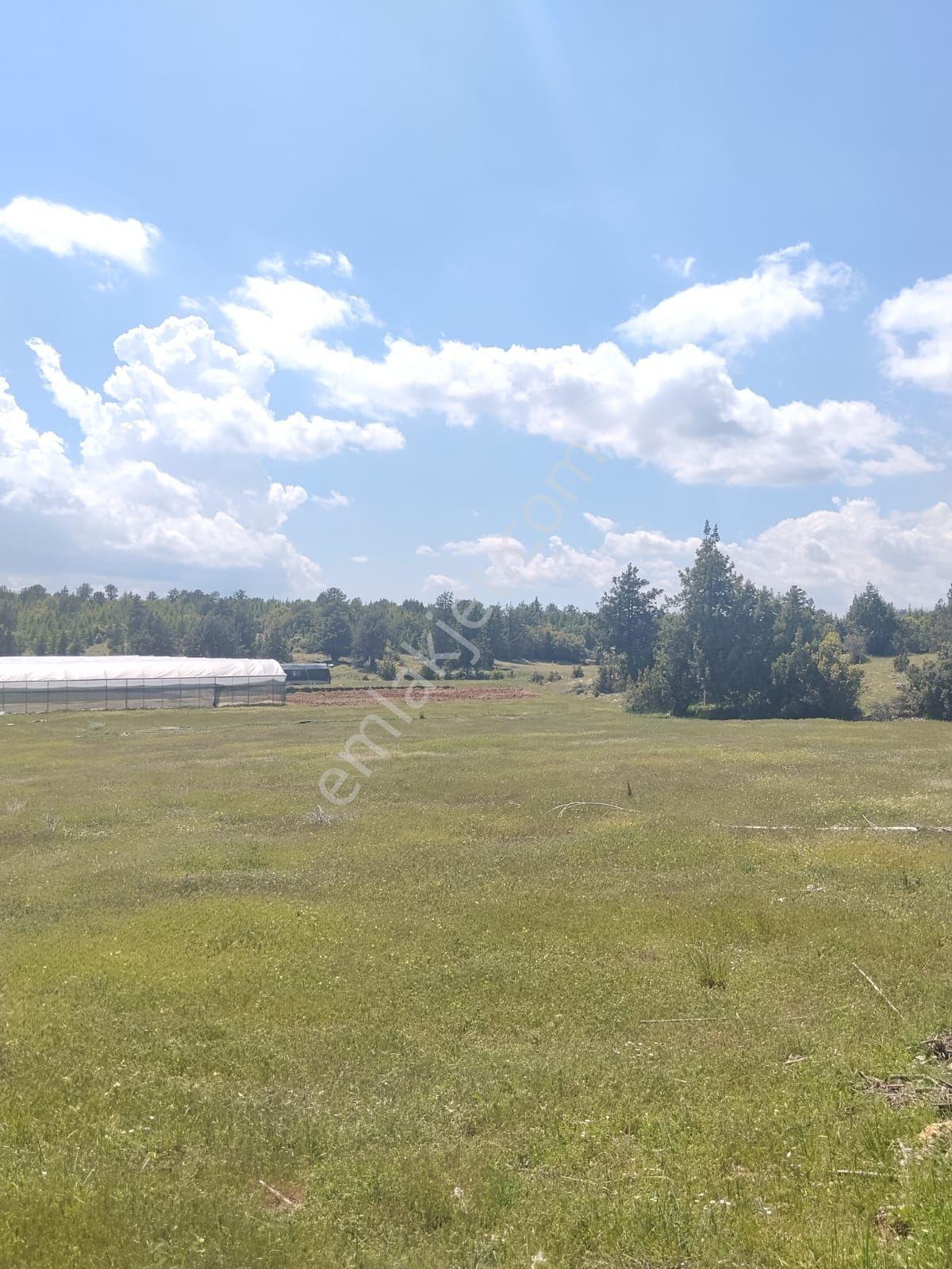 Erdemli Sarıkaya 1239 M2 Satılık Villalık Arsa - Görsel 19