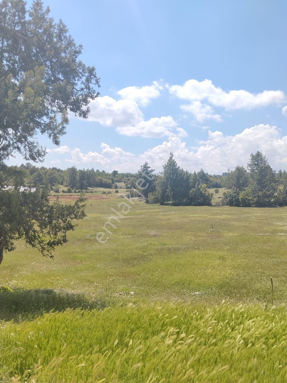 Erdemli Sarıkaya 1239 M2 Satılık Villalık Arsa - Görsel 14