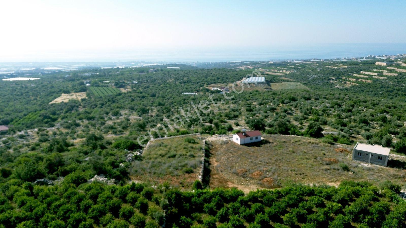Erdemli Koyuncu Mah. Satılık 1500 M2 Arsa - Görsel 21