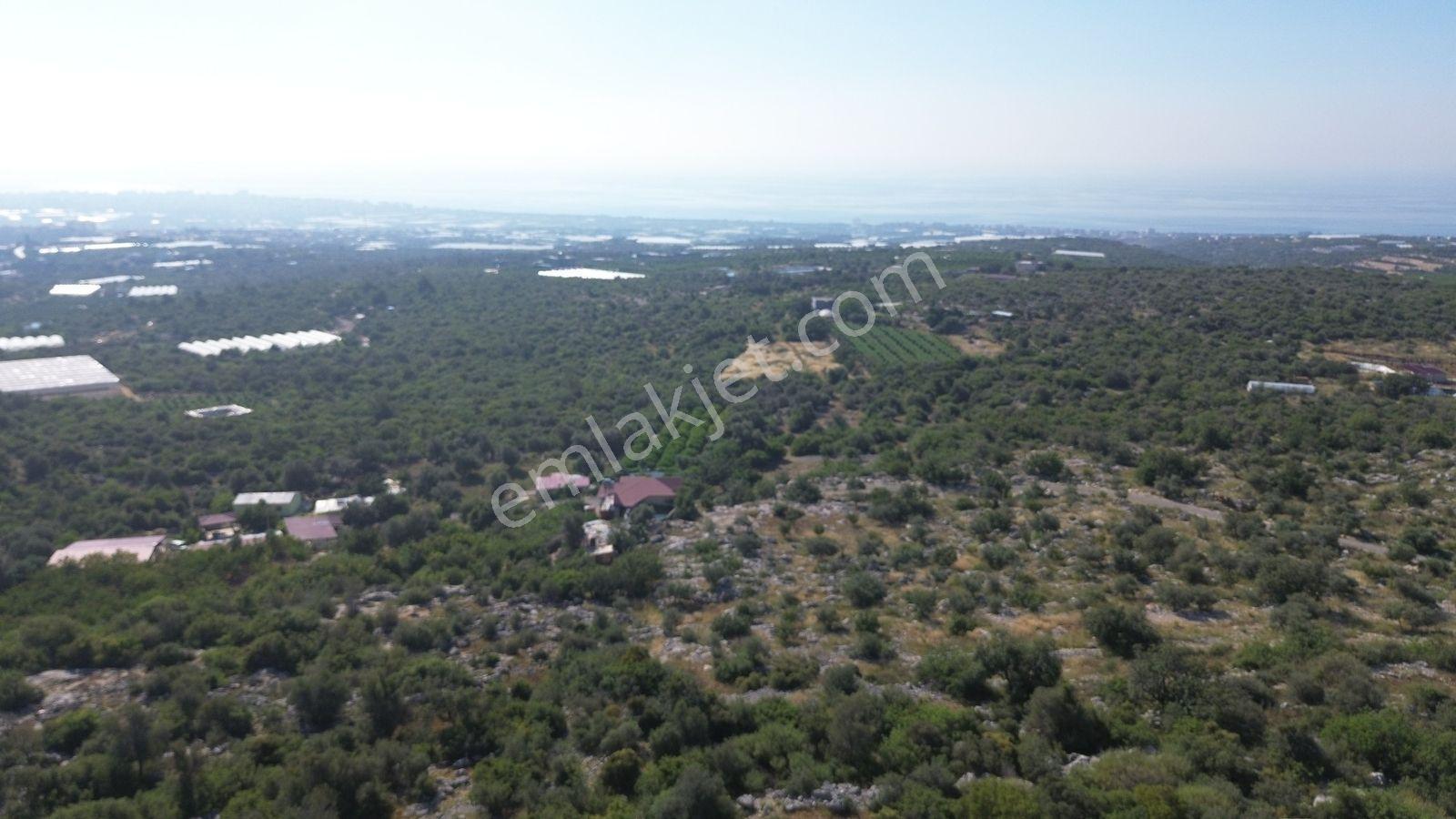 Erdemli Koyuncu Mah. Satılık 1500 M2 Arsa - Görsel 33