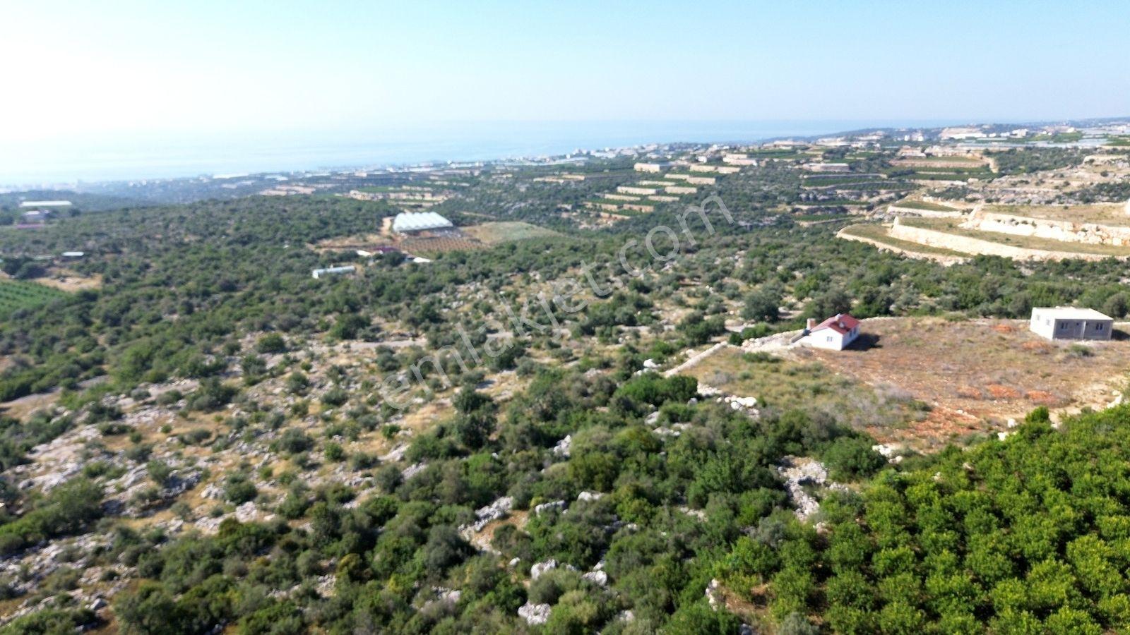 Erdemli Koyuncu Mah. Satılık 1500 M2 Arsa - Görsel 27