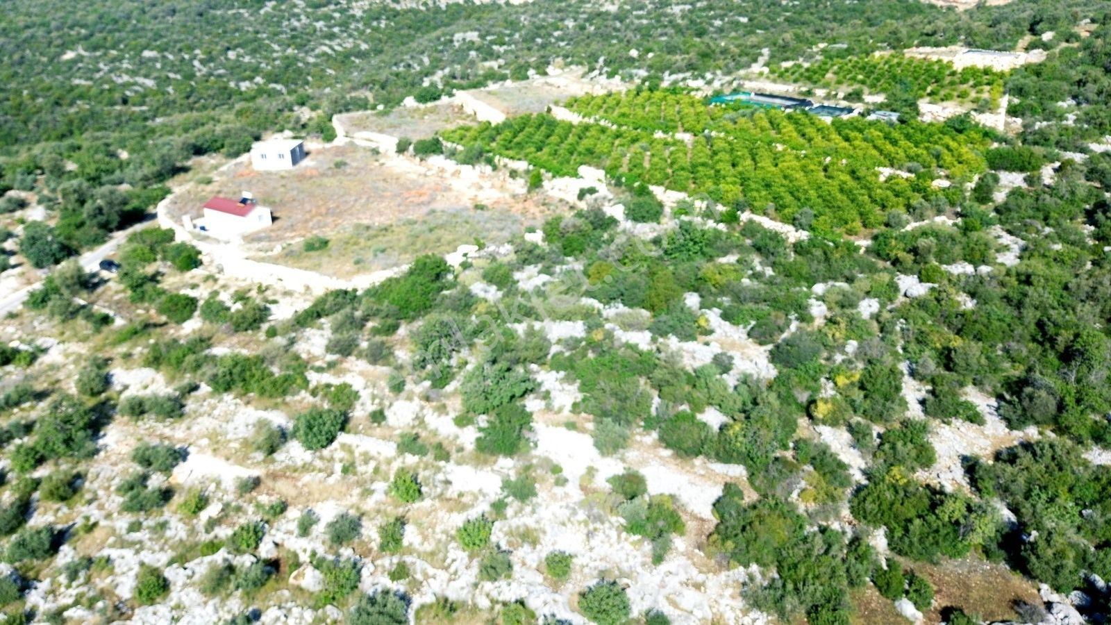 Erdemli Koyuncu Mah. Satılık 1500 M2 Arsa - Görsel 14