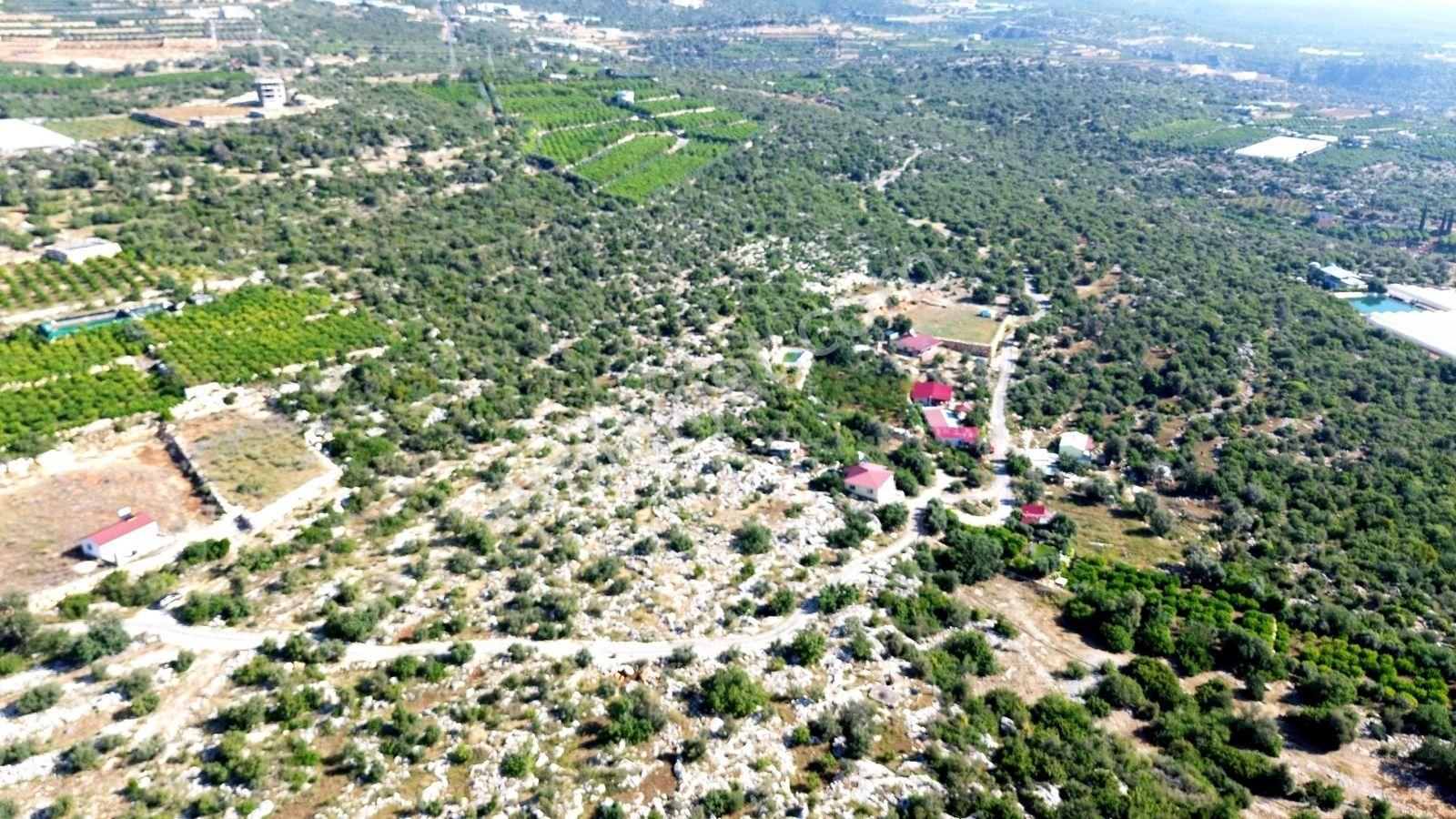 Erdemli Koyuncu Mah. Satılık 1500 M2 Arsa - Görsel 10