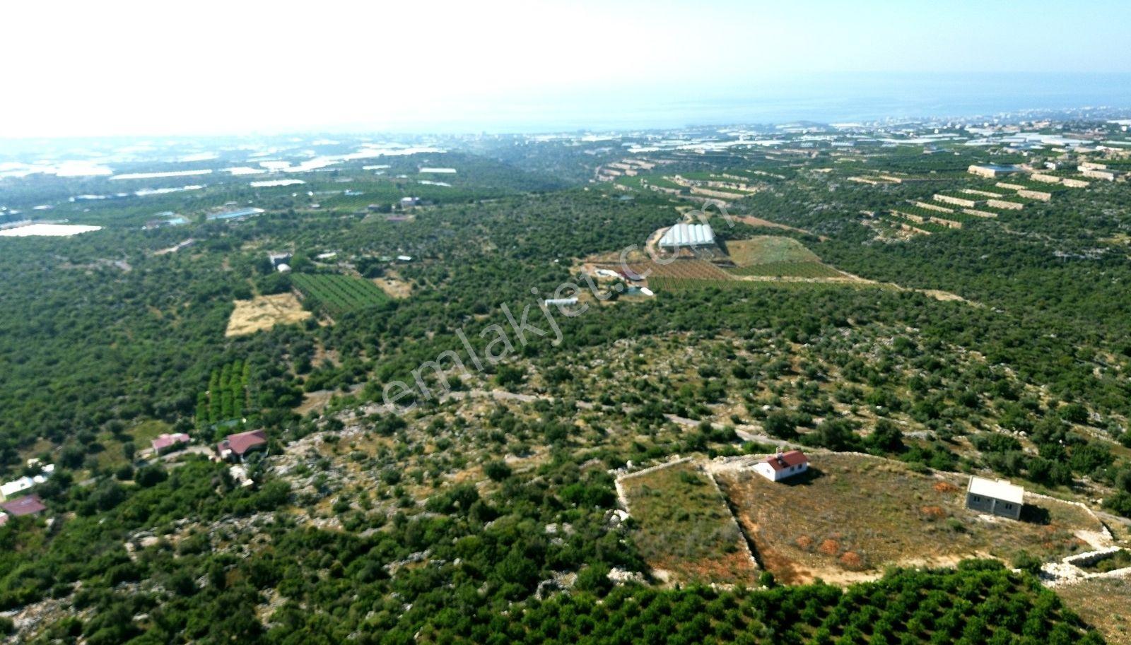 Erdemli Koyuncu Mah. Satılık 1500 M2 Arsa - Görsel 9