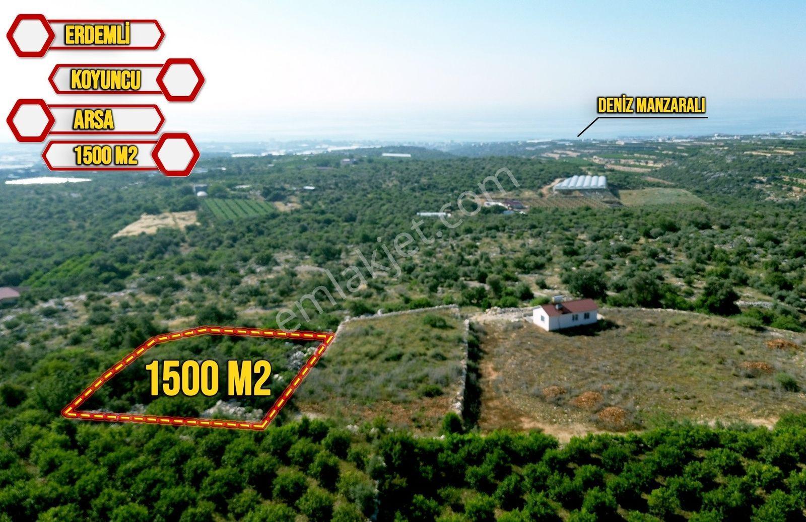 Erdemli Koyuncu Mah. Satılık 1500 M2 Arsa - Görsel 13
