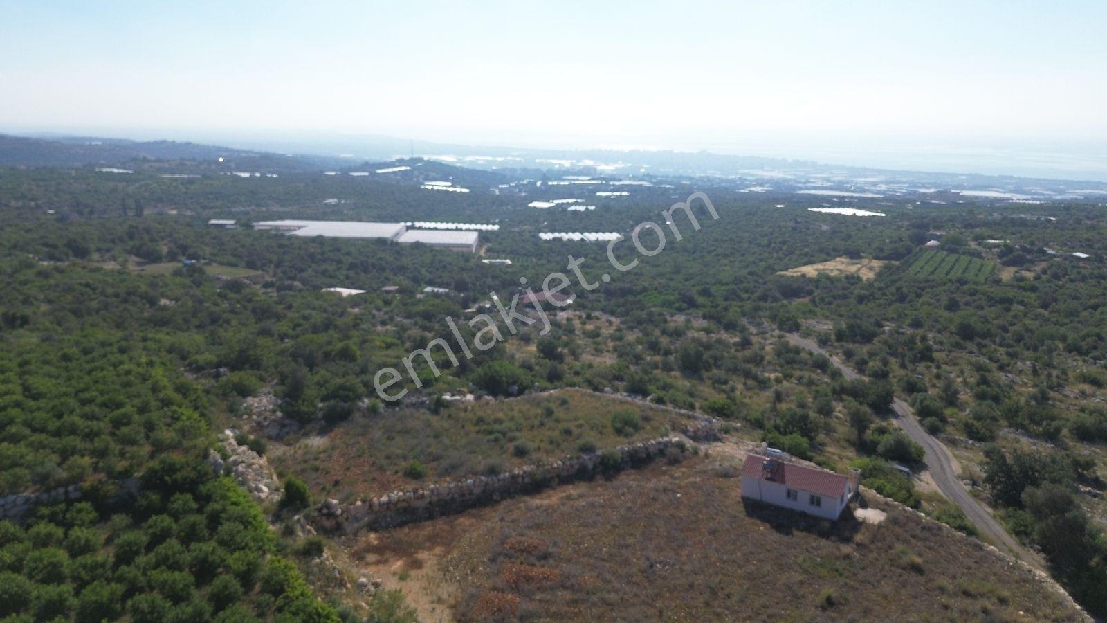 Erdemli Koyuncu Mah. Satılık 1500 M2 Arsa - Görsel 35