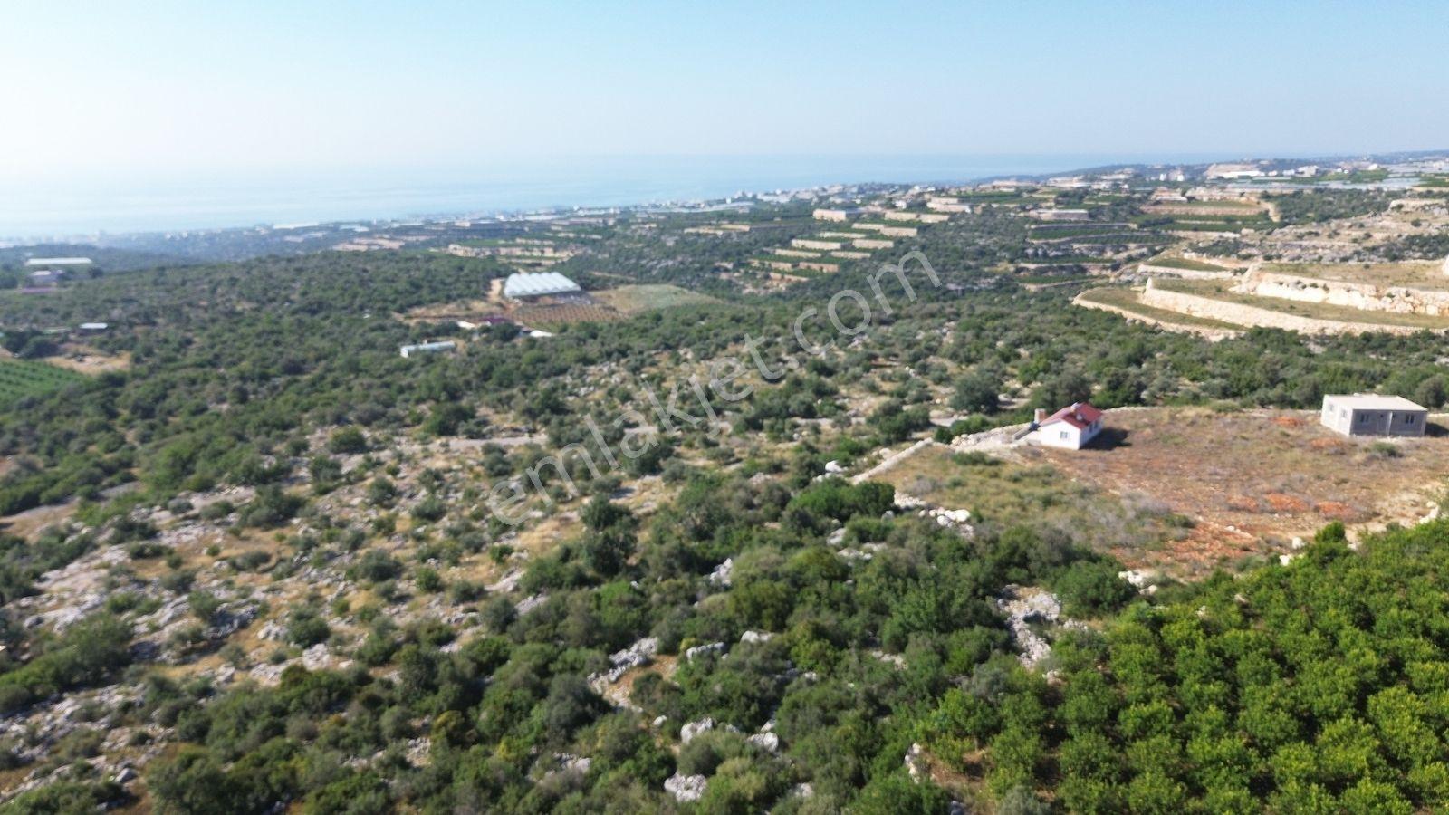 Erdemli Koyuncu Mah. Satılık 1500 M2 Arsa - Görsel 5
