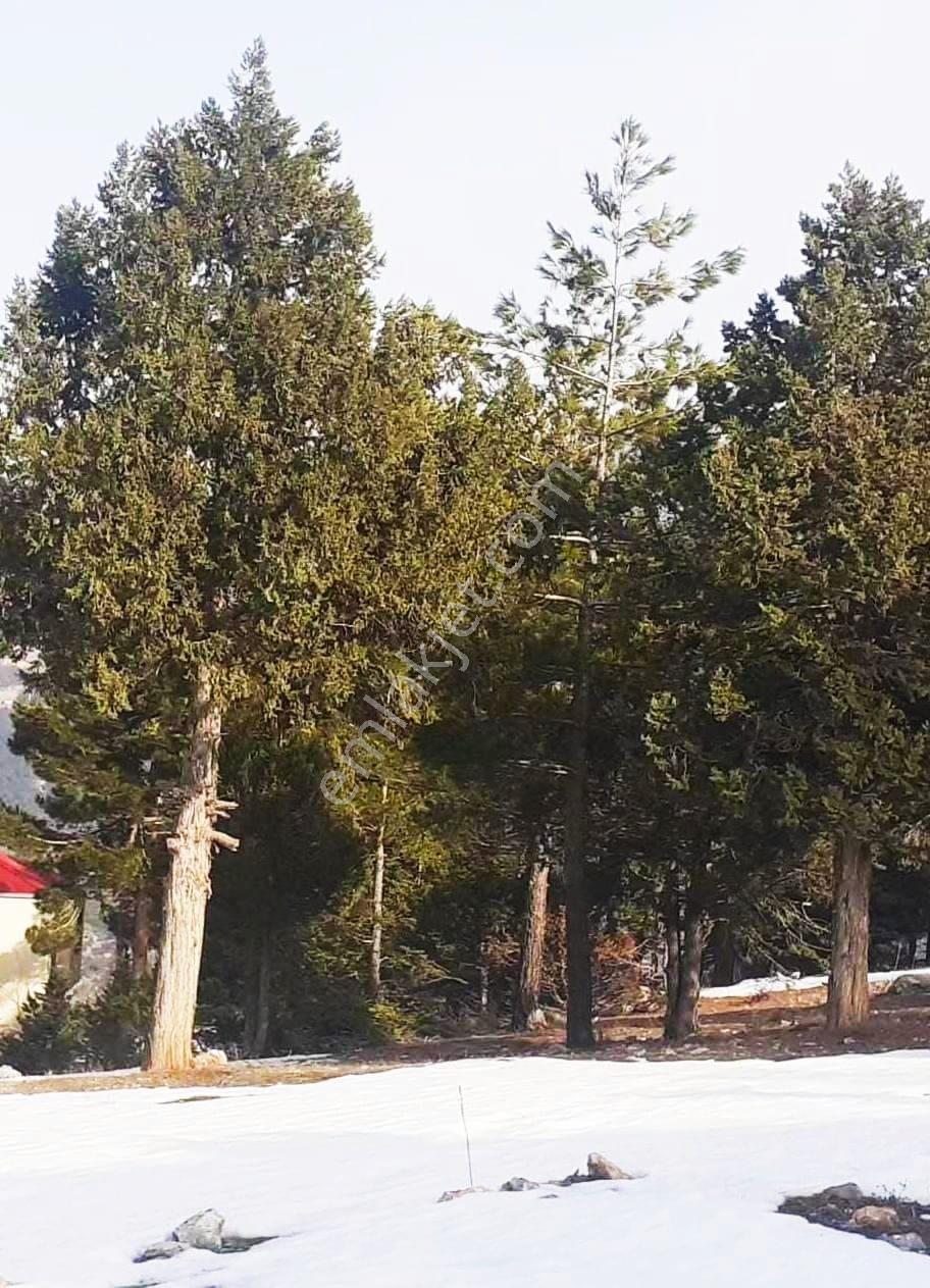 Kar Emlaktan Yenikonacık Körmenlik Mevkiinde 400 M2 Satılık Arsa - Görsel 19