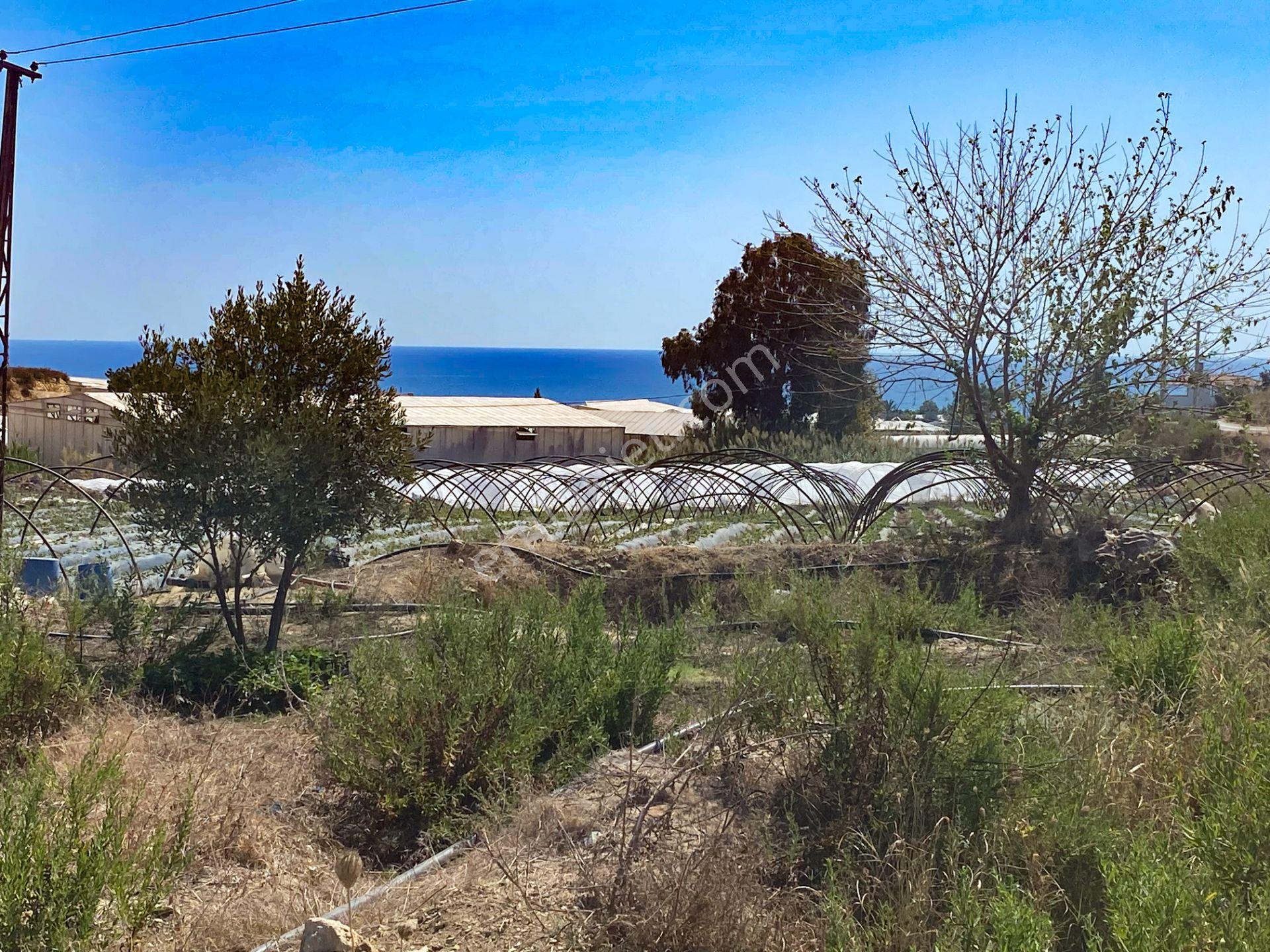 Mersin Anamur Deniz Manzaralı Satılık Parsel - Görsel 22