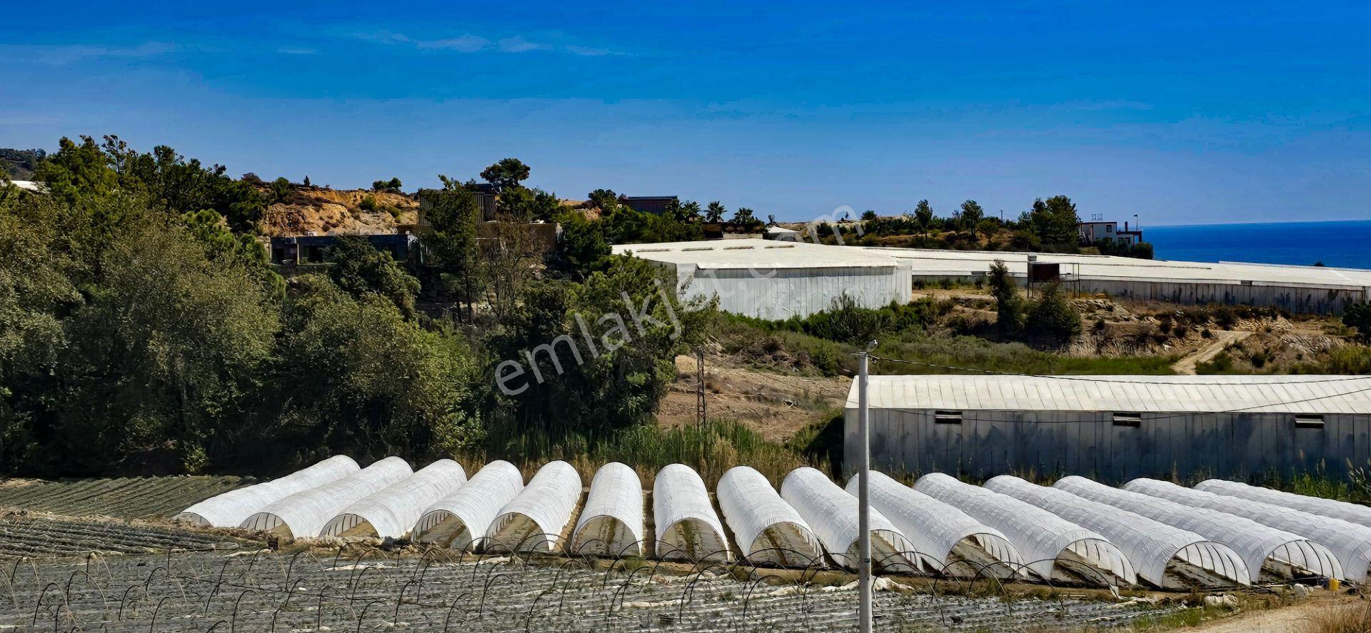 Mersin Anamur Deniz Manzaralı Satılık Parsel - Görsel 25