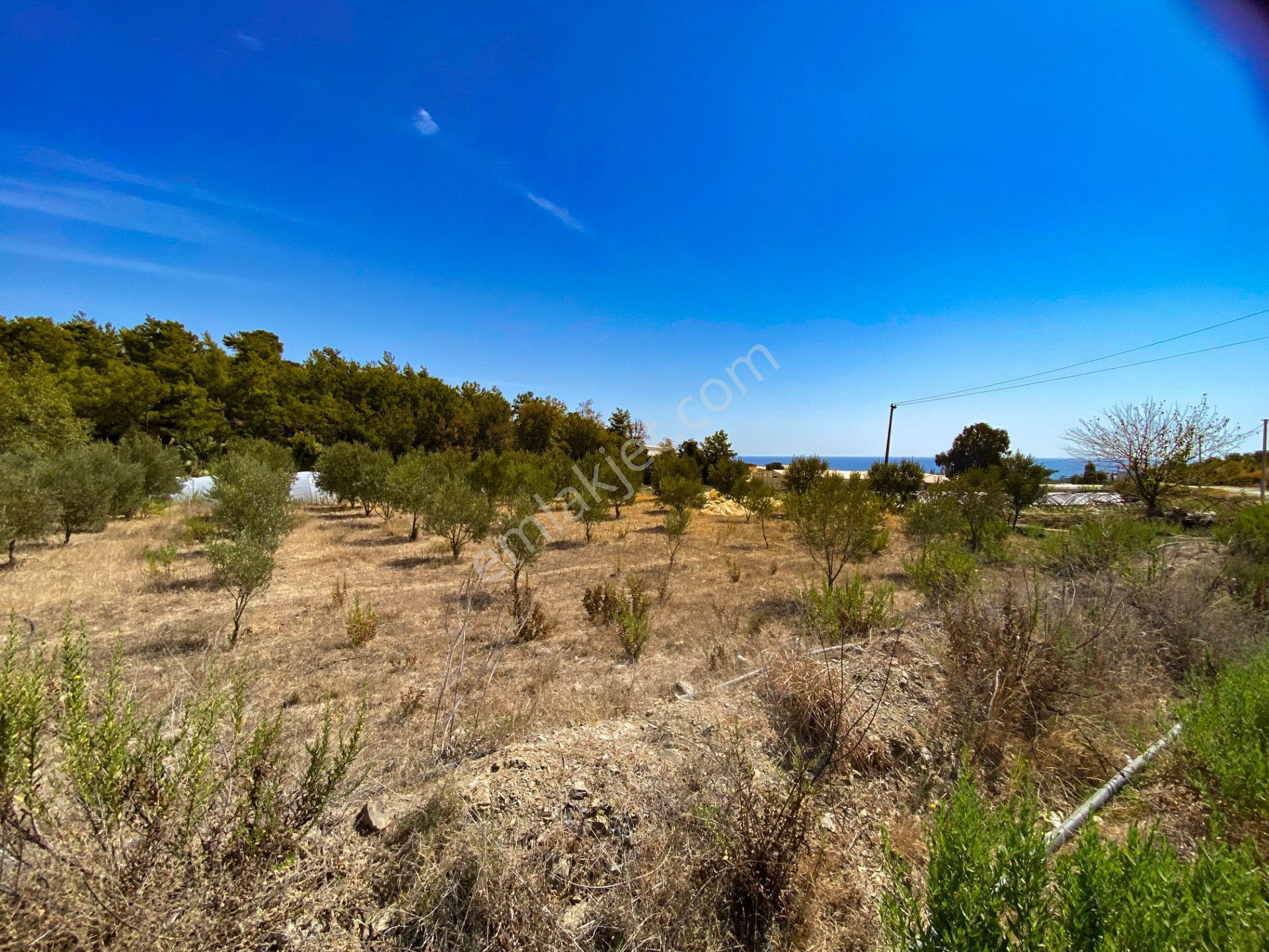 Mersin Anamur Deniz Manzaralı Satılık Parsel - Görsel 16