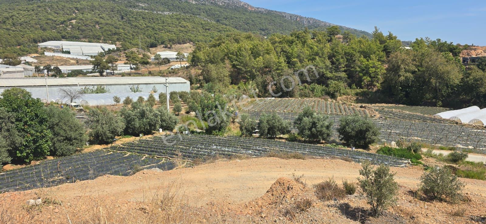 Mersin Anamur Deniz Manzaralı Satılık Parsel - Görsel 23
