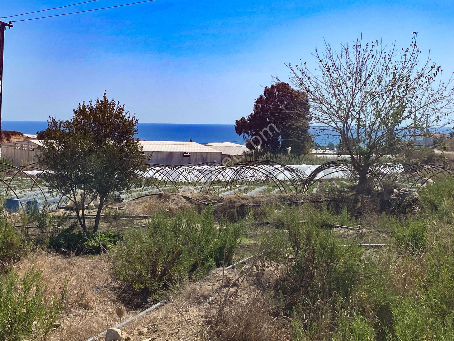 Mersin Anamur Deniz Manzaralı Satılık Parsel - Görsel 10