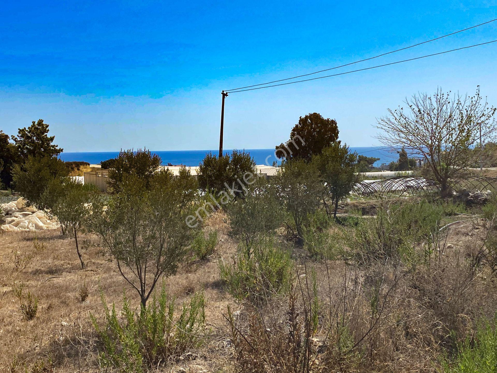 Mersin Anamur Deniz Manzaralı Satılık Parsel - Görsel 14
