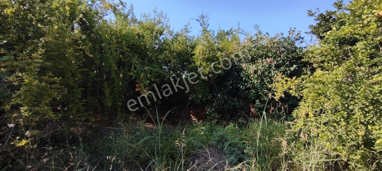 Fiyat Düştü!.... Yenişehir Çavakta 3250m2 Kiralık Arsa - Görsel 5