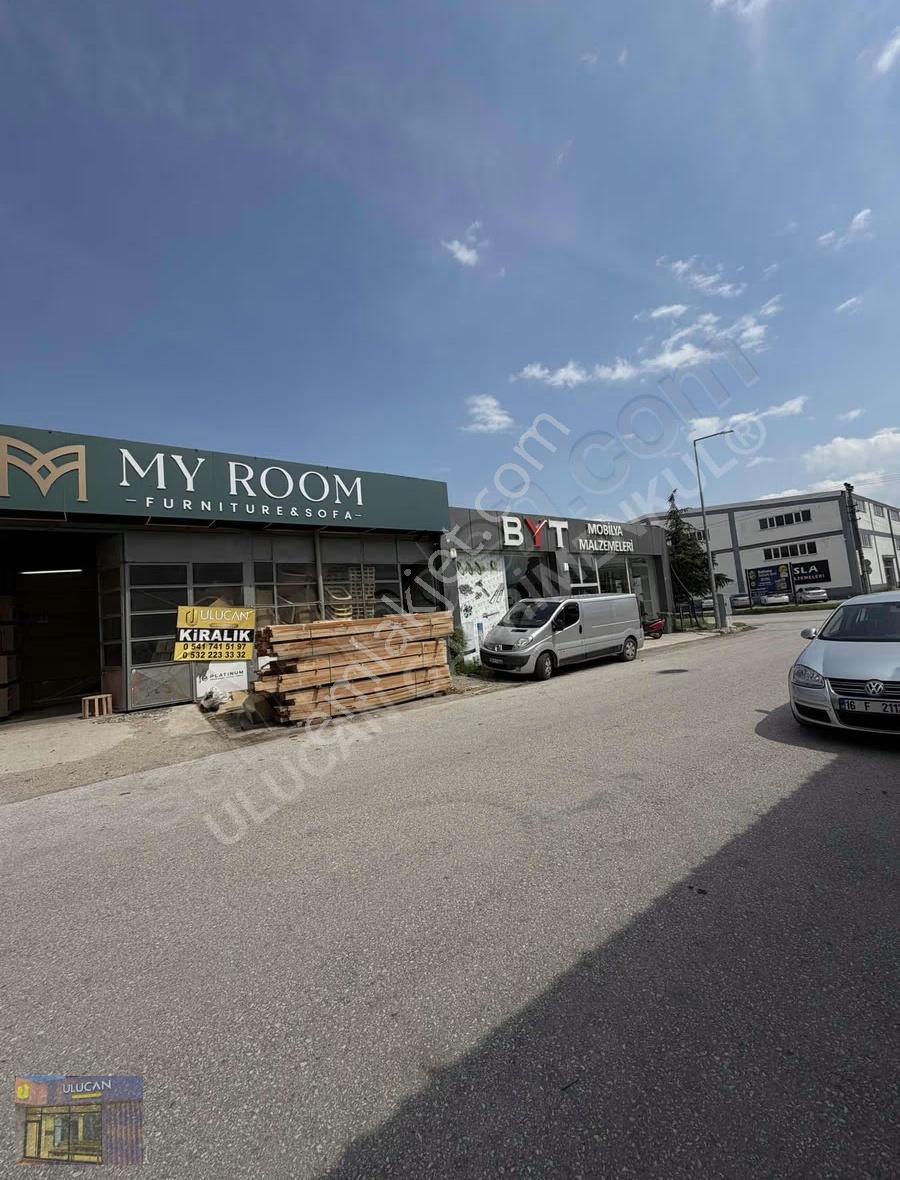 İnegöl Ağaç İşleri'nde 360 M² Kiralık Dükkan - Görsel 3