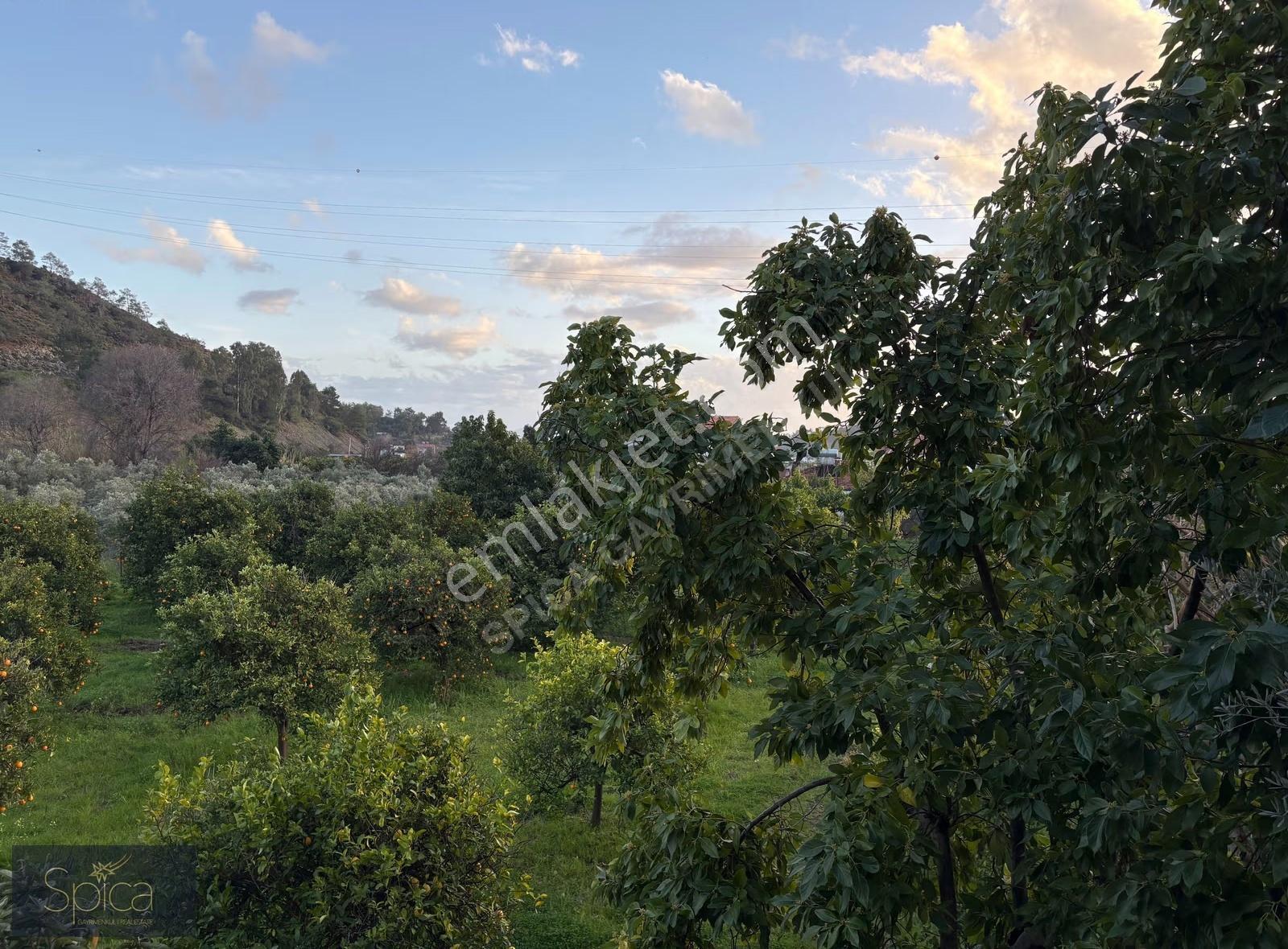Fethiye Yanıklar'da Doğa İçinde Havuzlu, Kiralık Müstakil Ev - Görsel 32
