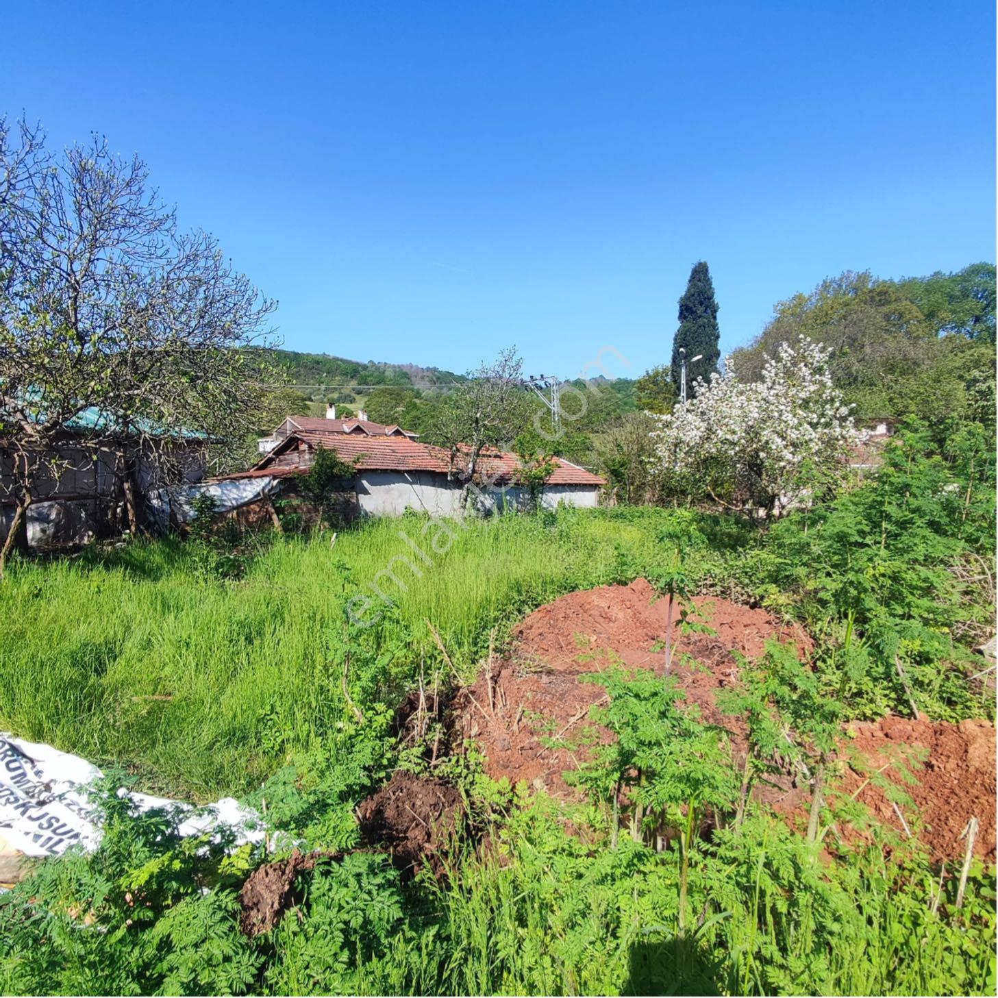 Şile Ovacık Köyünde Satılık 648 M2 Villa İmarlı - Görsel 5