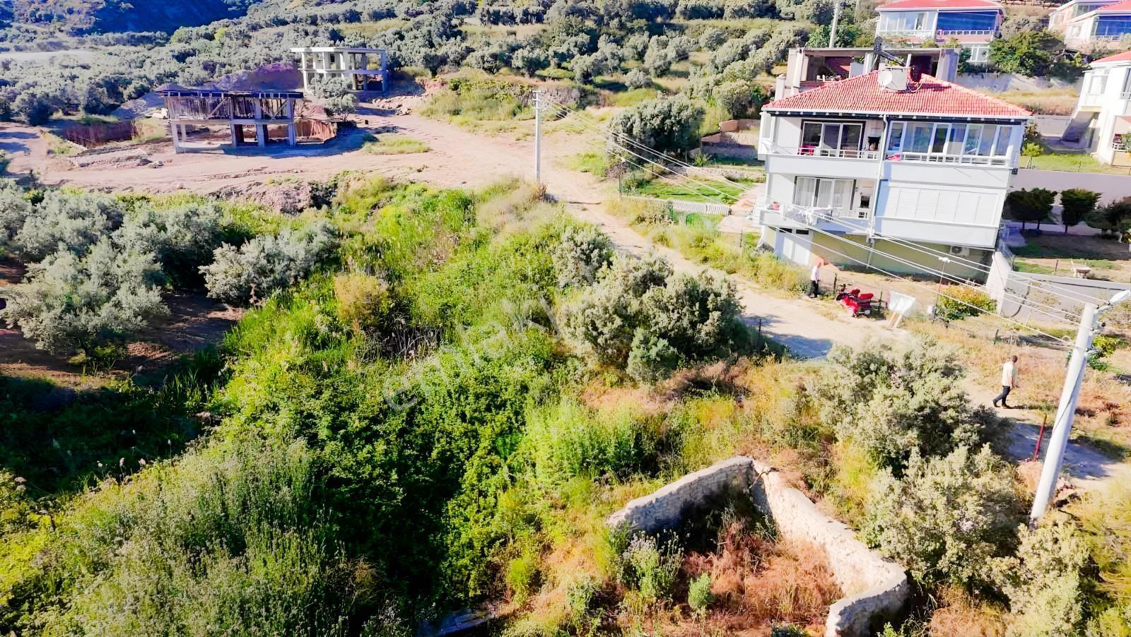 Gümüş Emlak'tan Kirazlı Mahallesinde Satılık 5294 Metre Bağ - Görsel 16