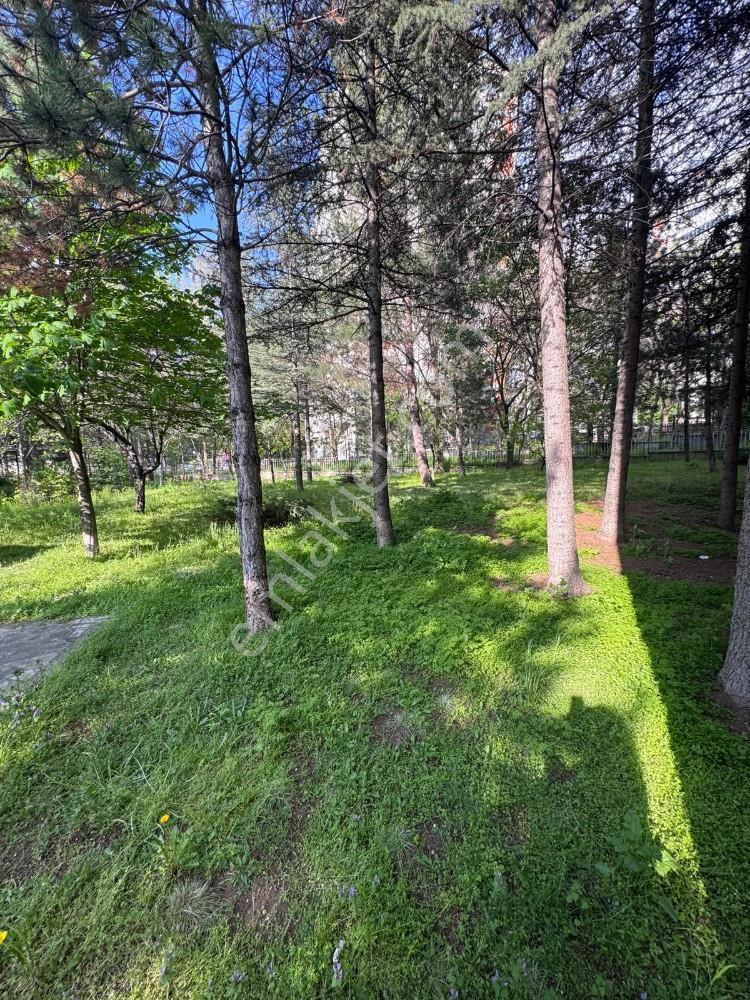 Turyaptan Çiğdemde Kiracısız 3+1 Site İçinde Satılık Daire - Görsel 27