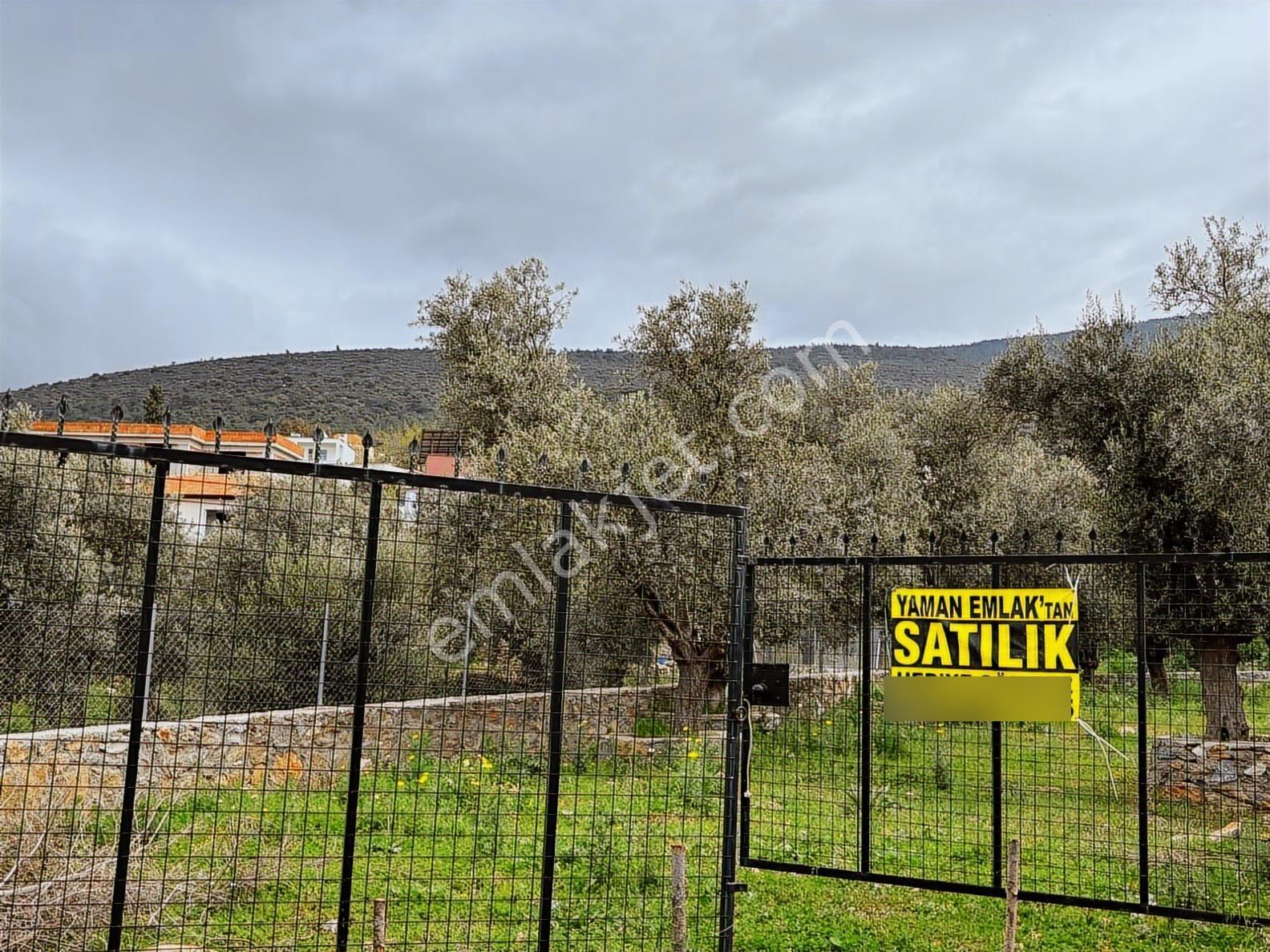 Milas - Kazıklı Köy İçi Satılık İmarlı 497 M2 Arsa - Görsel 10