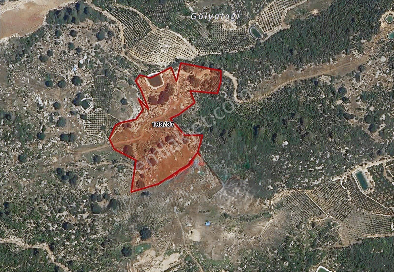 Çamak Gayrimenkulden Çukurkeşli'de 27.852 M2 Satılık Tarla - Görsel 2