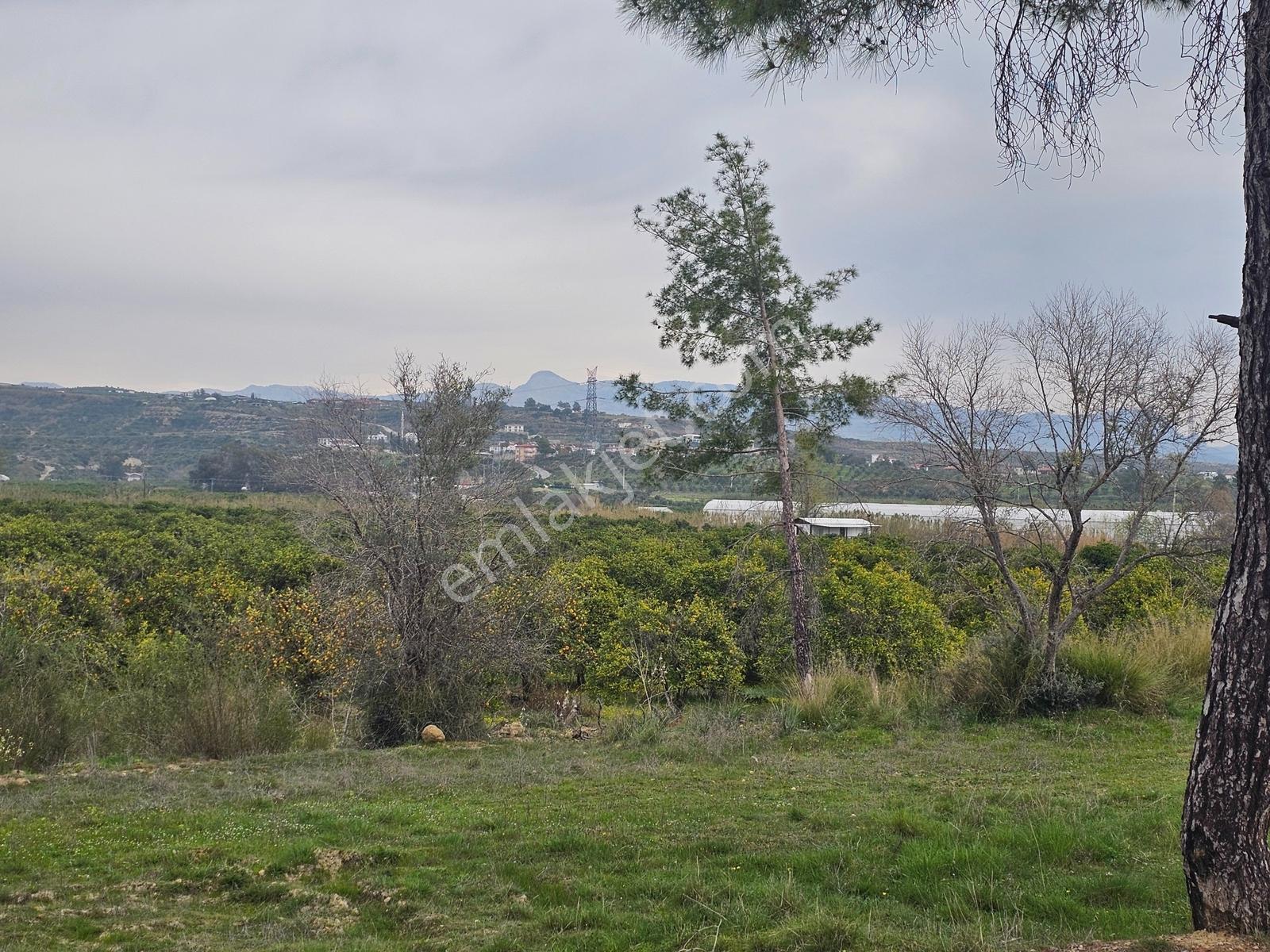 Evrenseki De Köşebaşı Konumlu Satılık Villa - Site Arsası - Görsel 35