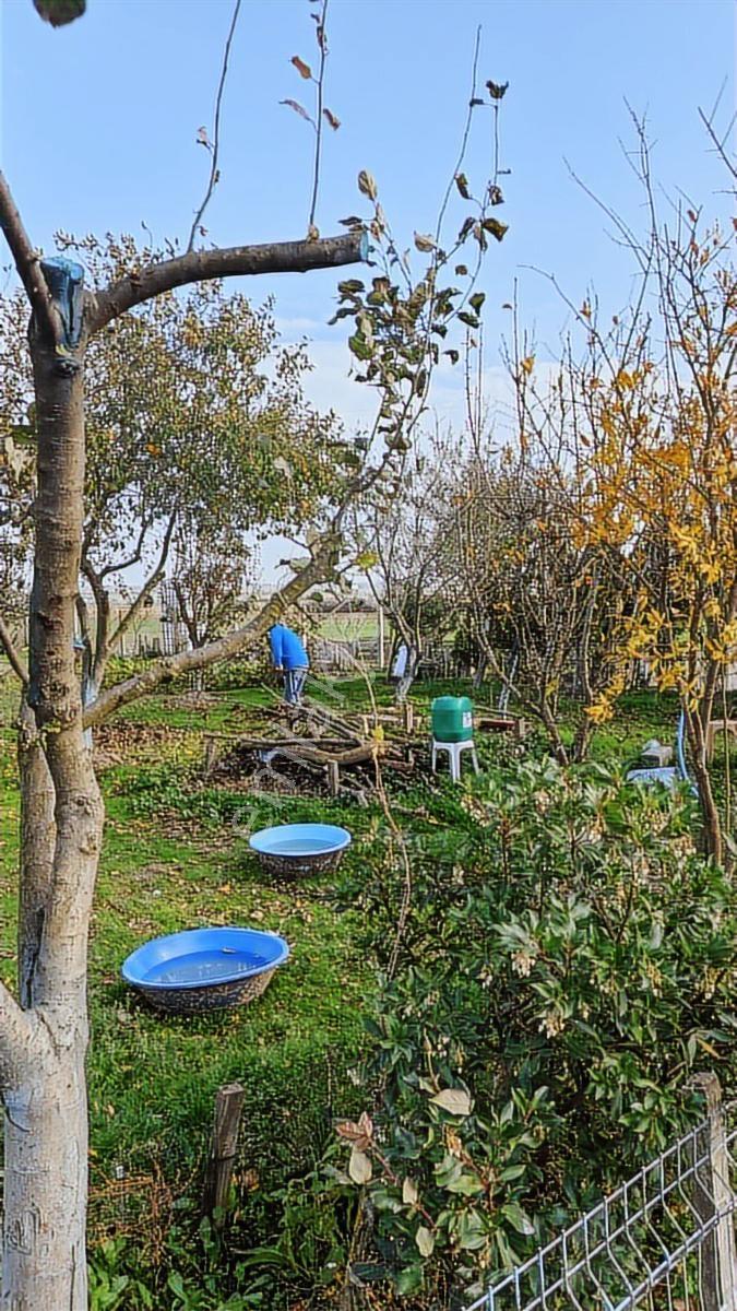 Tekirdağ Saray Çukuryurt Da Satılık 420 M2 Bağ Evi - Görsel 11