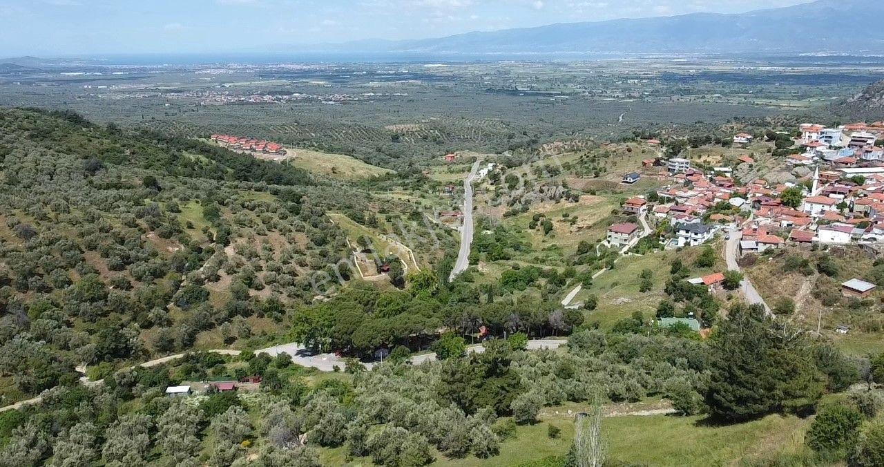 🟥burhaniye Dutlucada 975 M2 Deniz Manzaralı Muhteşem Satılık Arsa - Görsel 19