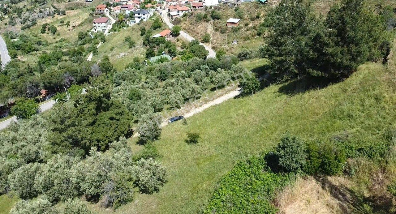 🟥burhaniye Dutlucada 975 M2 Deniz Manzaralı Muhteşem Satılık Arsa - Görsel 26