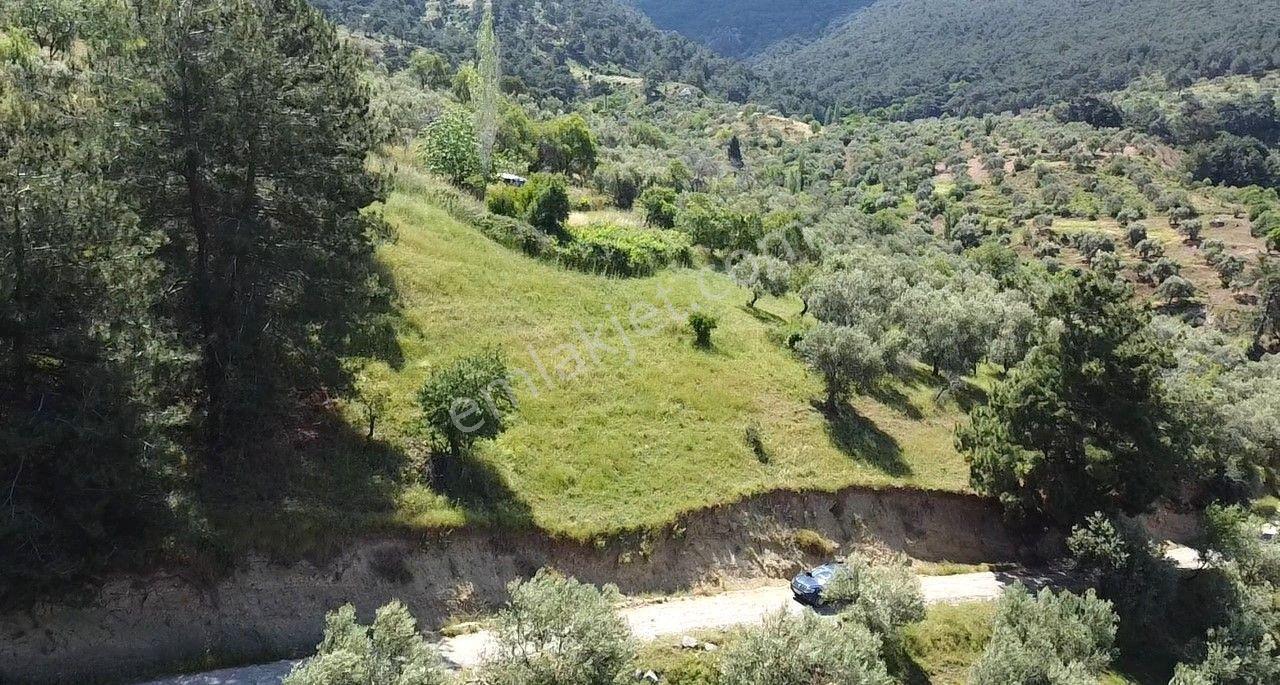 🟥burhaniye Dutlucada 975 M2 Deniz Manzaralı Muhteşem Satılık Arsa - Görsel 21
