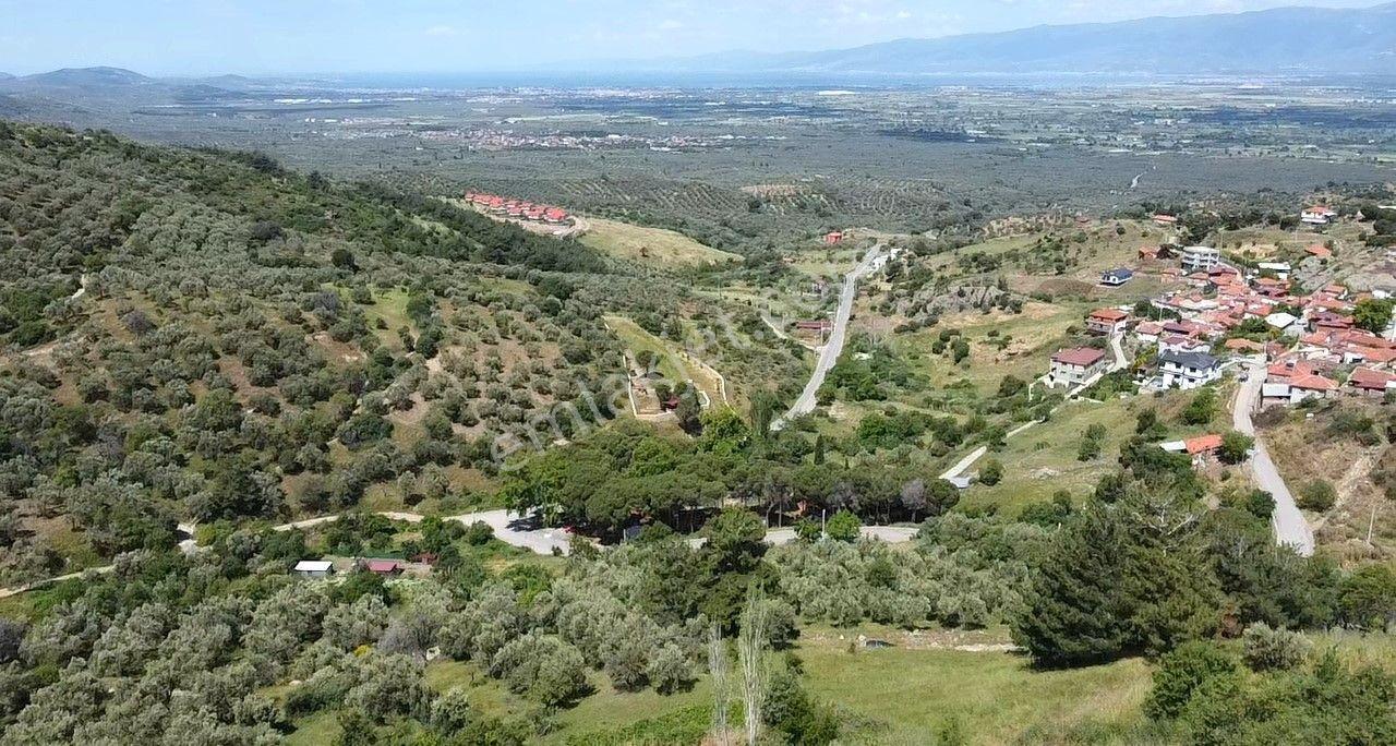 🟥burhaniye Dutlucada 975 M2 Deniz Manzaralı Muhteşem Satılık Arsa - Görsel 23