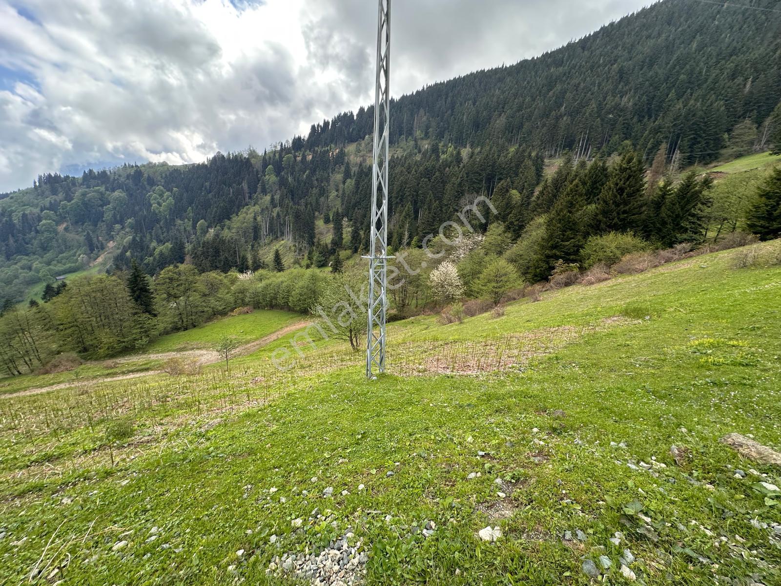 Trabzon Maçka'da Satılık Arazi - Görsel 12