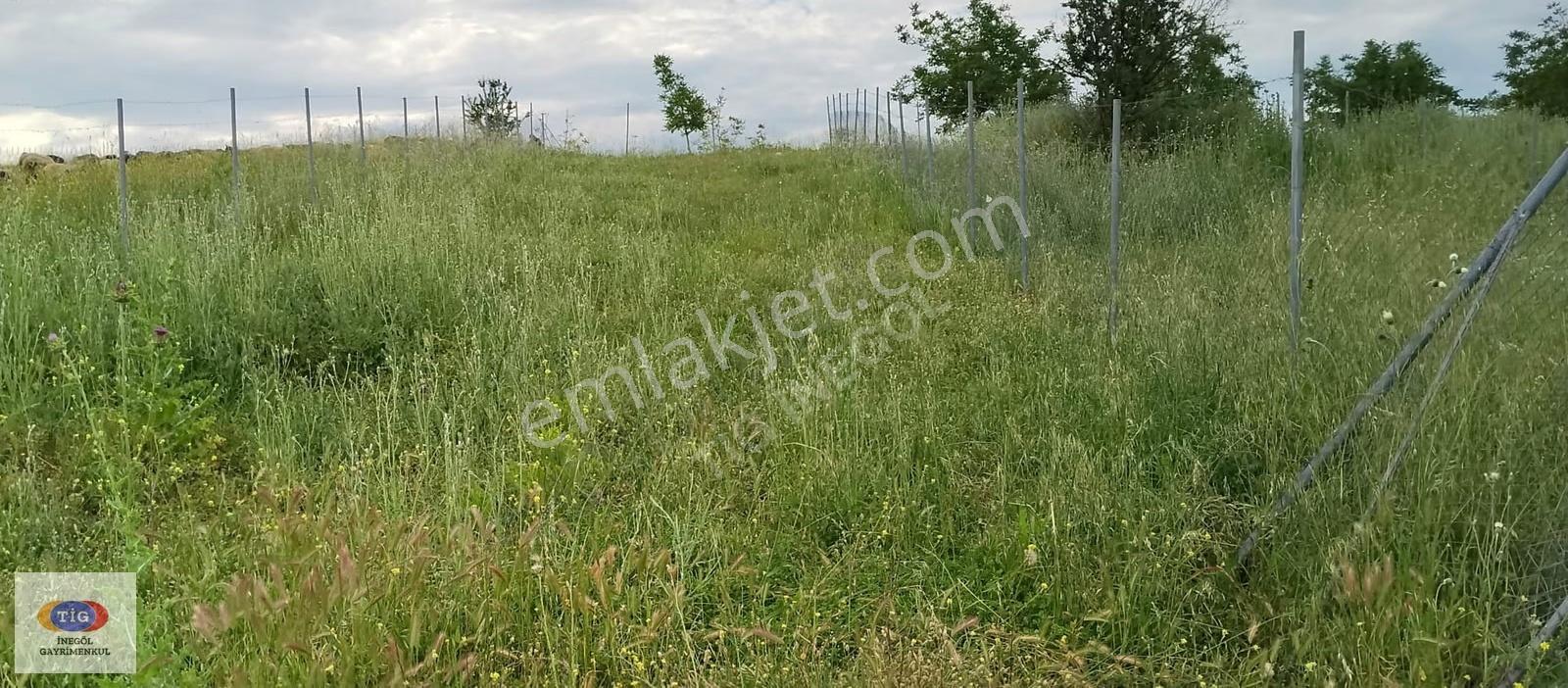 Tig Gayrimenkul' Den Satılık Halhalcada 416'm2 Tarla - Görsel 4