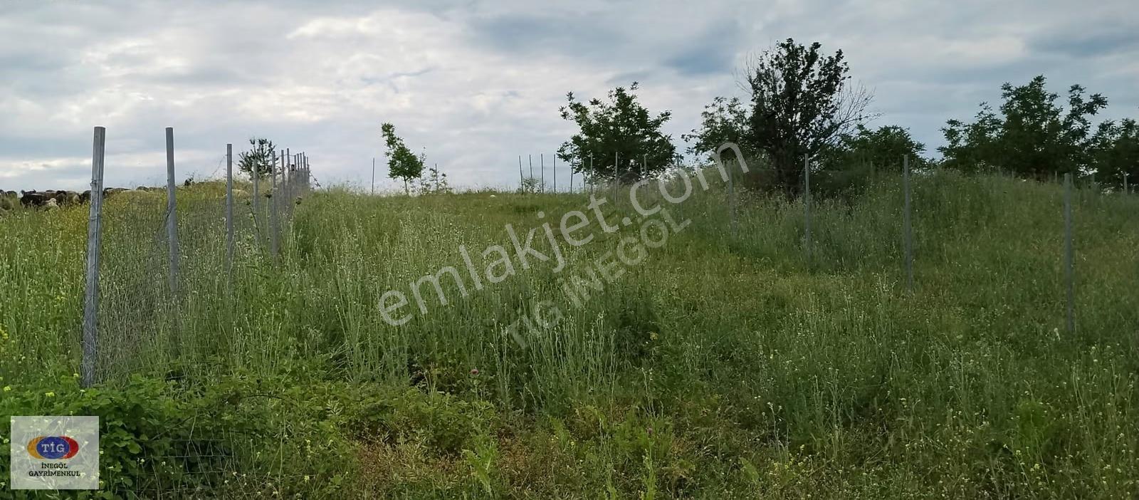Tig Gayrimenkul' Den Satılık Halhalcada 416'm2 Tarla