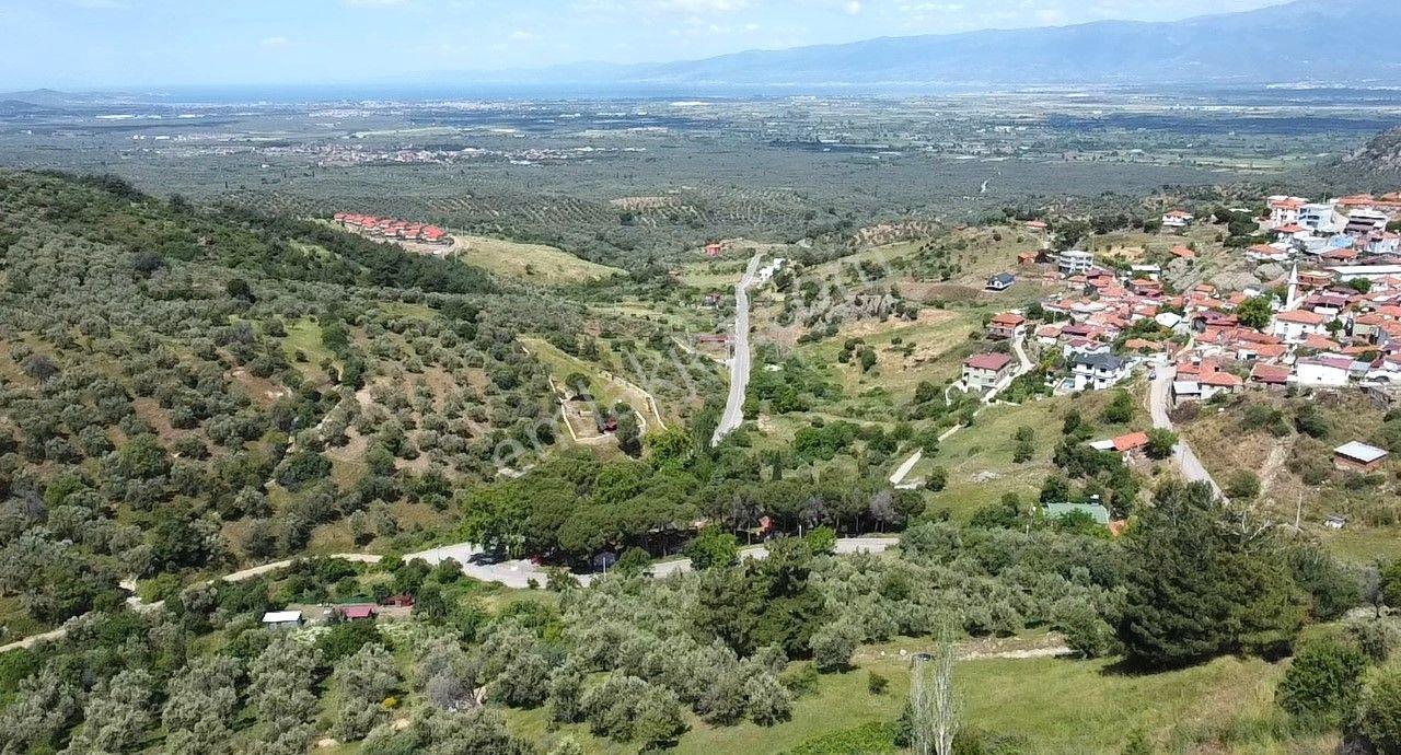 🟥burhaniye Dutlucada 2434 M2 Deniz Ve Doğa Manzaralı Satılık Arsa - Görsel 19