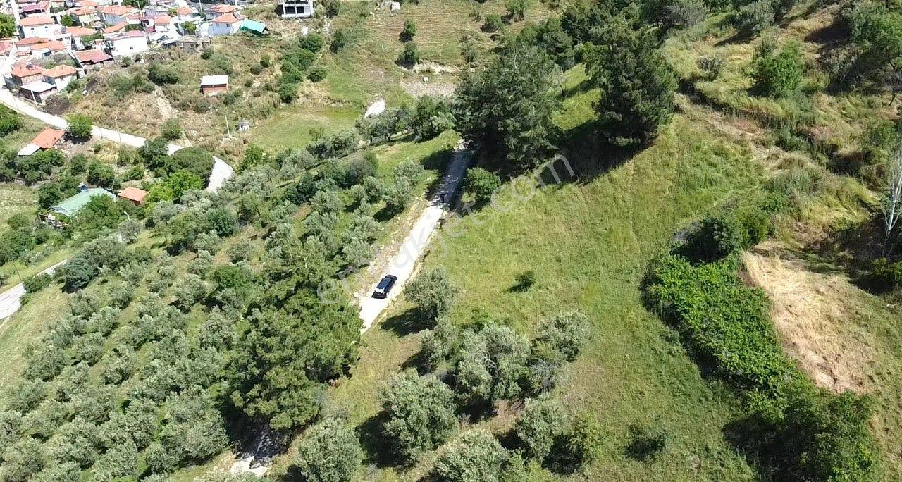 🟥burhaniye Dutlucada 2434 M2 Deniz Ve Doğa Manzaralı Satılık Arsa - Görsel 13