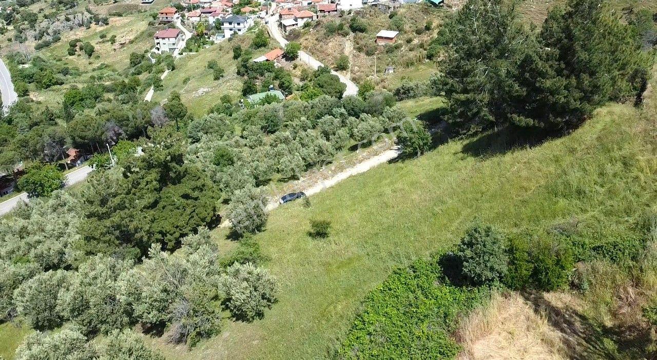 🟥burhaniye Dutlucada 2434 M2 Deniz Ve Doğa Manzaralı Satılık Arsa - Görsel 26