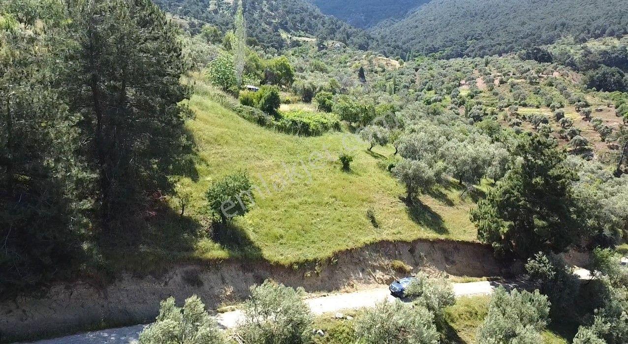 🟥burhaniye Dutlucada 2434 M2 Deniz Ve Doğa Manzaralı Satılık Arsa - Görsel 21