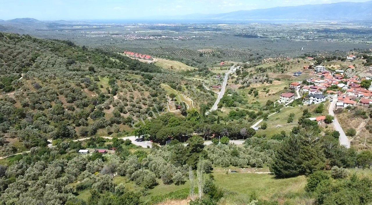 🟥burhaniye Dutlucada 2434 M2 Deniz Ve Doğa Manzaralı Satılık Arsa - Görsel 23