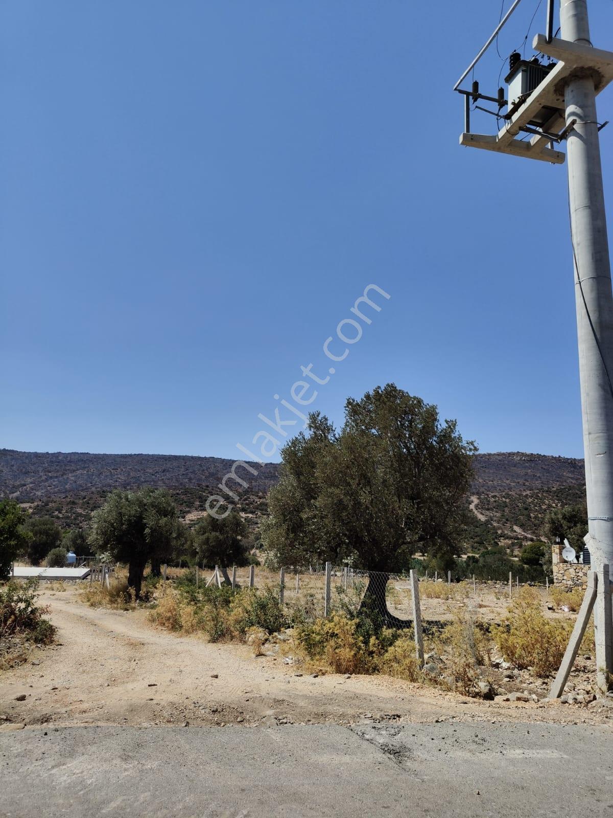 Zeytineli'nde Denize 2 Km Arazi - Görsel 12