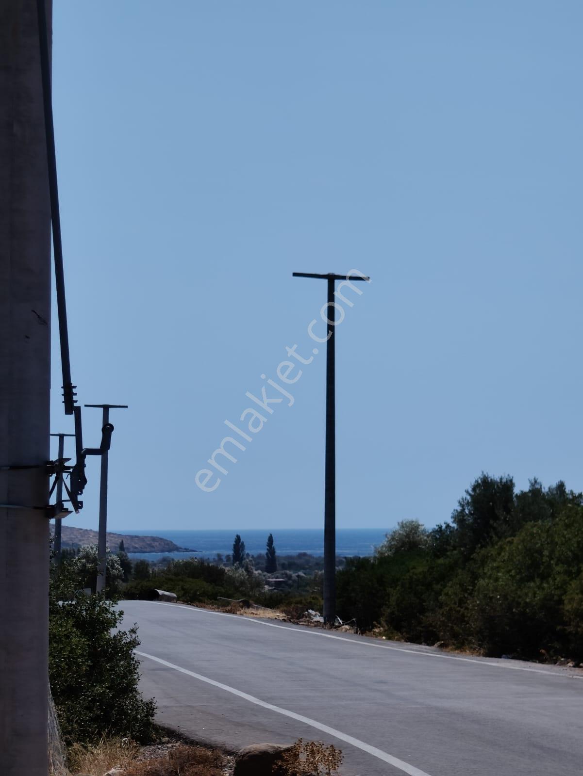 Zeytineli'nde Denize 2 Km Arazi - Görsel 16