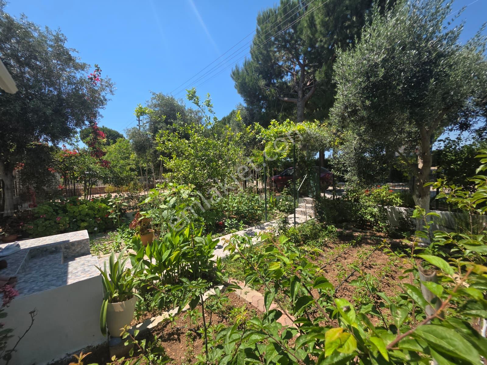 Denize Yürüme Mesafesinde Müstakil Bahçeli Villa - Görsel 27