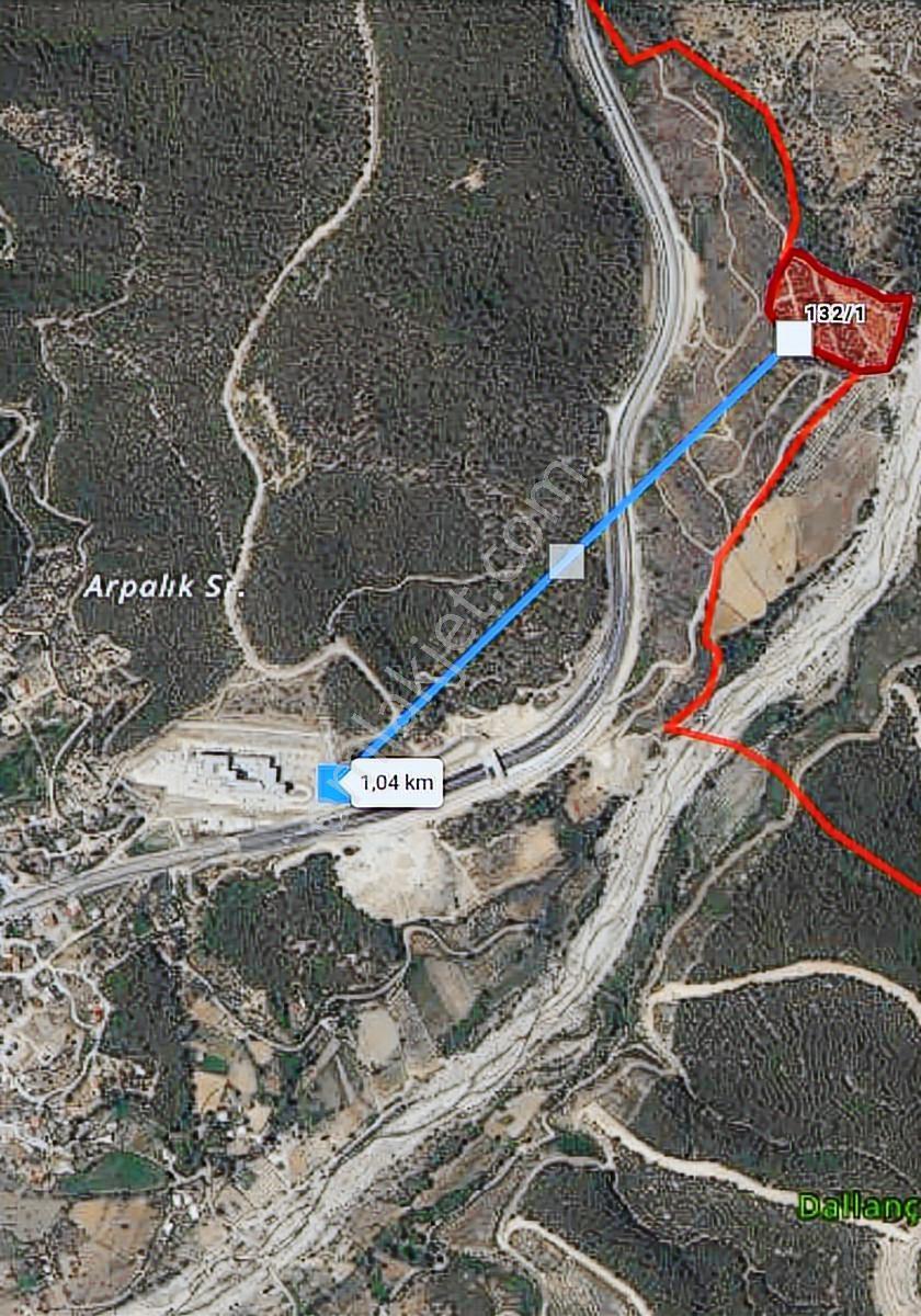 Antalya Yolunda Hastaneye 1km 27 Dönüm Satılık Zeytinlik