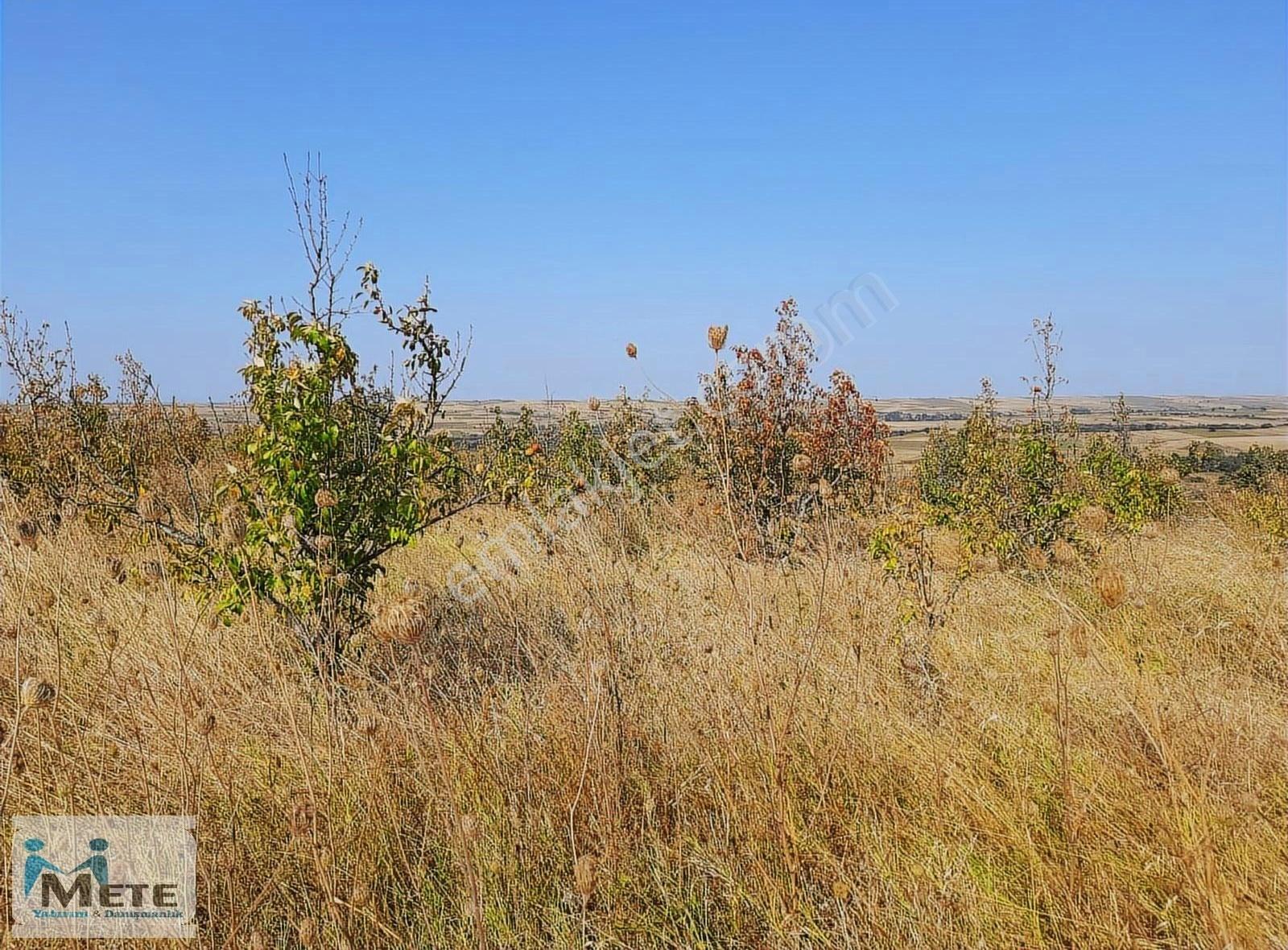 Çok Acil Edirne Havsa Kuzucu'da 13,200 M² Satılık Tarla - Görsel 19