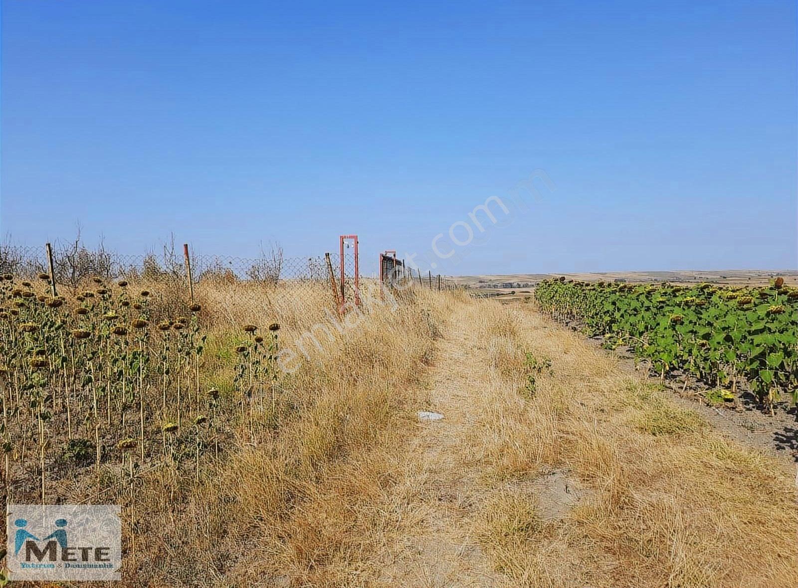 Çok Acil Edirne Havsa Kuzucu'da 13,200 M² Satılık Tarla - Görsel 20